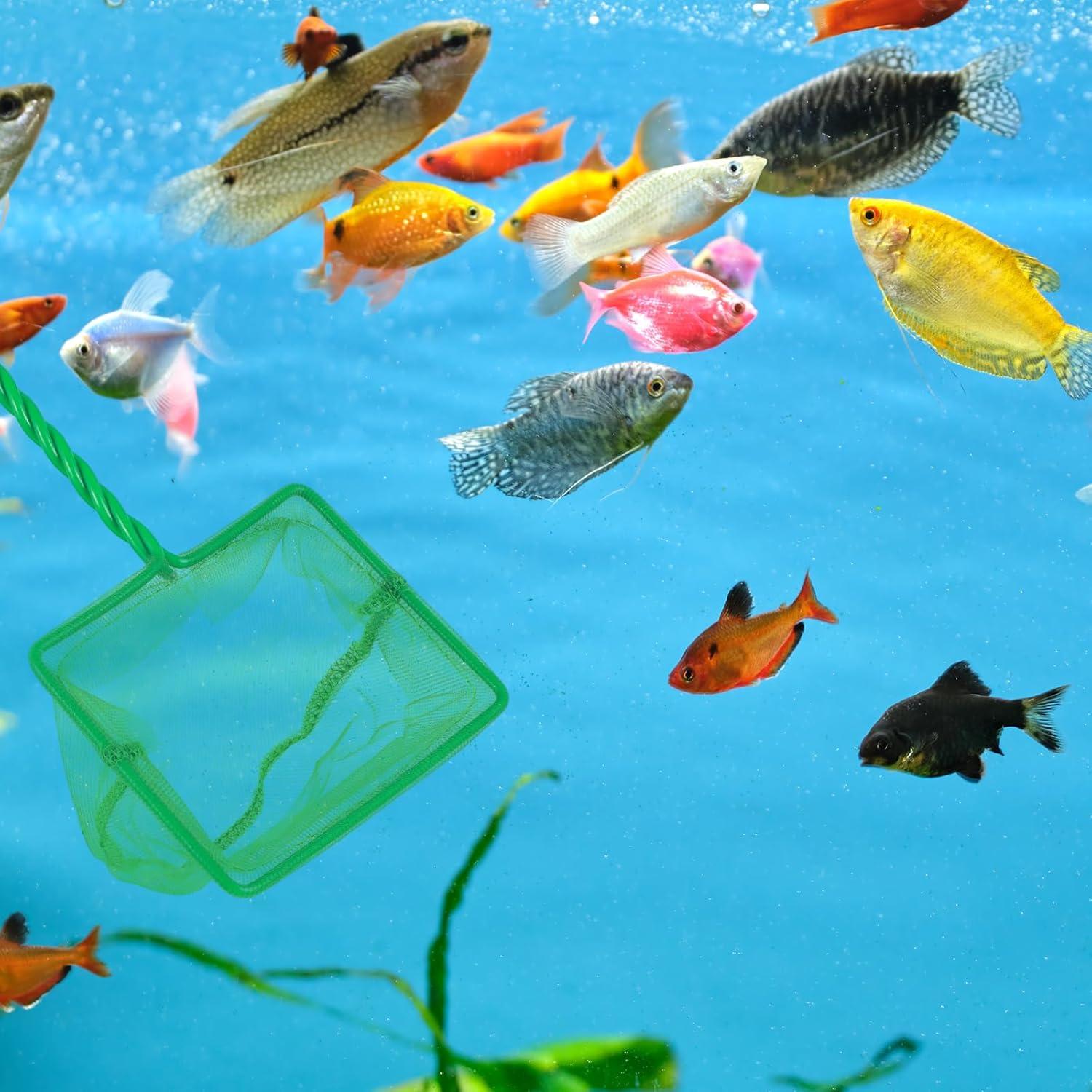 Set de 2 Redes de Acuario Nogeqi 7.6cm y 10.2cm Malla Fina