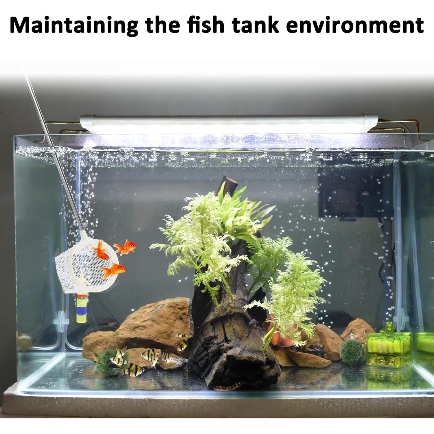 2 Redes de Pesca Redondas QfwdfcTrenz para Acuario 7.62 cm