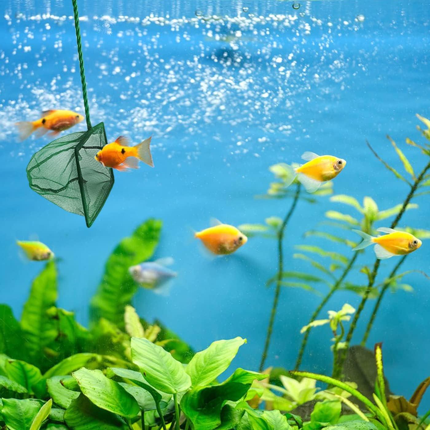 Paquete de 4 Redes para Peces QXBXYHM - Malla Fina Verde