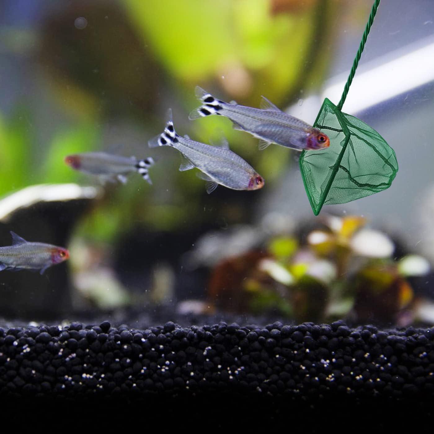 Paquete de 4 Redes para Peces QXBXYHM - Malla Fina Verde