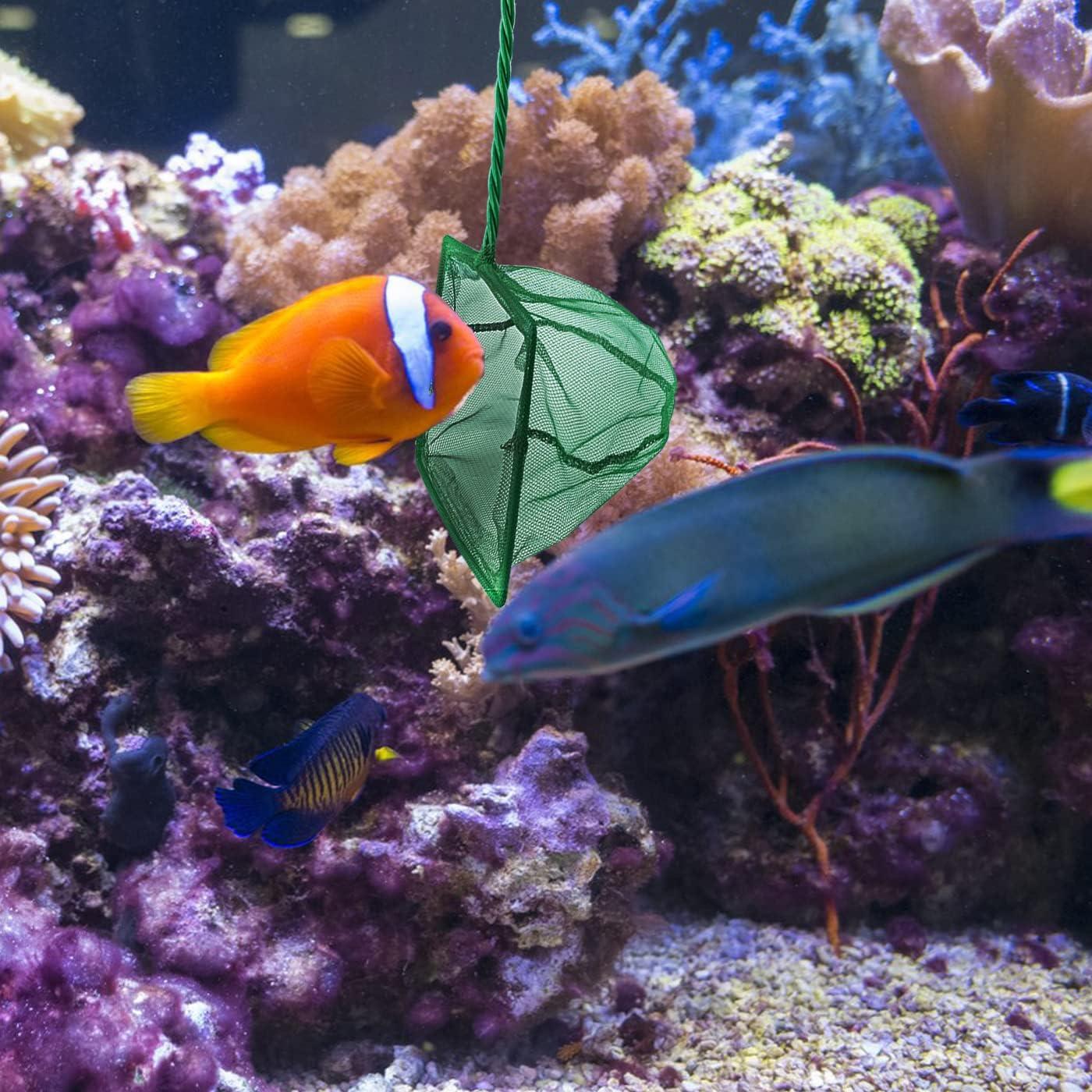 Paquete de 4 Redes para Peces QXBXYHM - Malla Fina Verde