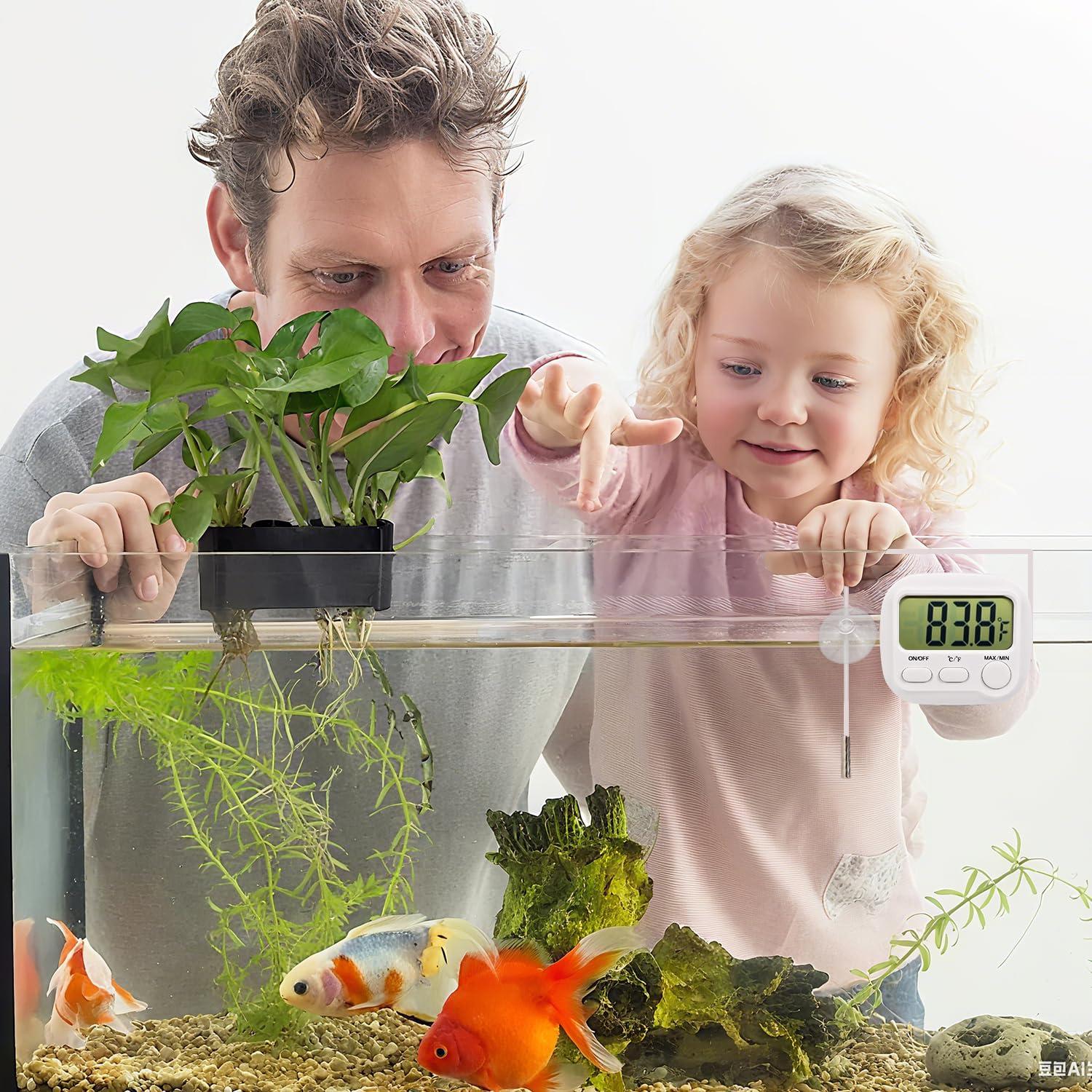 Termómetro Digital de Acuario PAULTEMP TYJ-005 LCD -50C a 300C