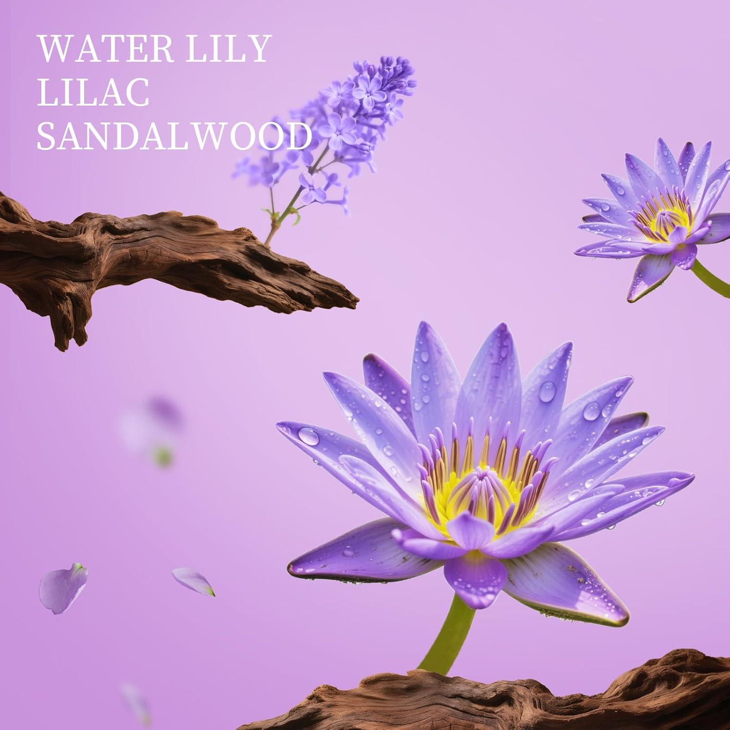 Spray Desinfectante para Manos Power Mist 28ml - Pack de 3