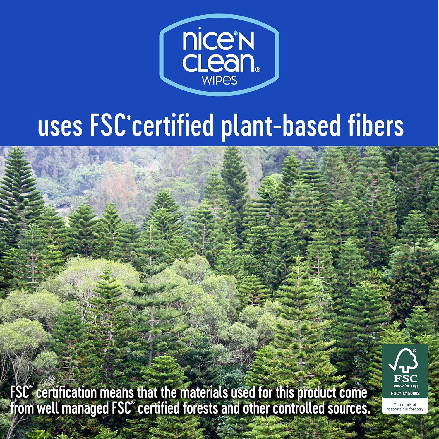 Toallitas Húmedas XL Nice 'N CLEAN 180 Unidades Sin Fragancia