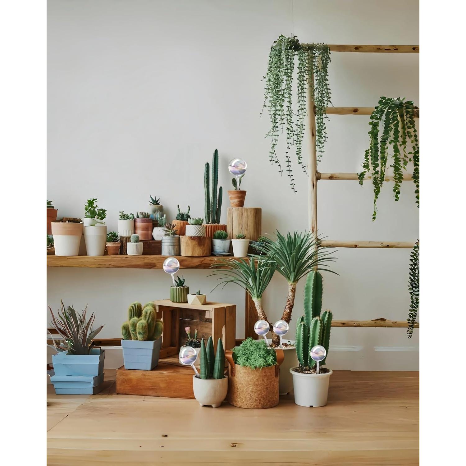 Esferas de Riego Automático ZhenD de Vidrio Iridiscente - 2 Piezas