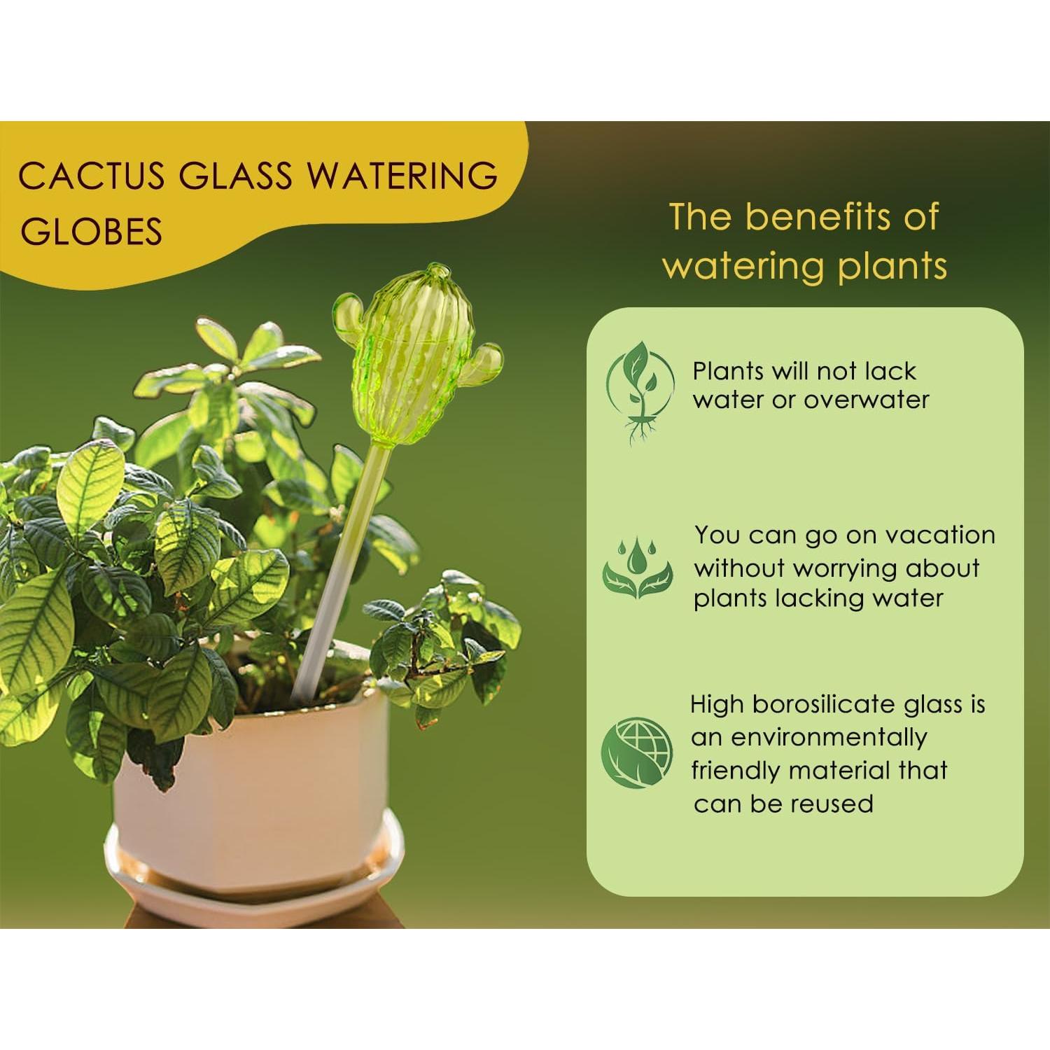 Esferas de Riego Automático Ahhute Cactus - Paquete de 3