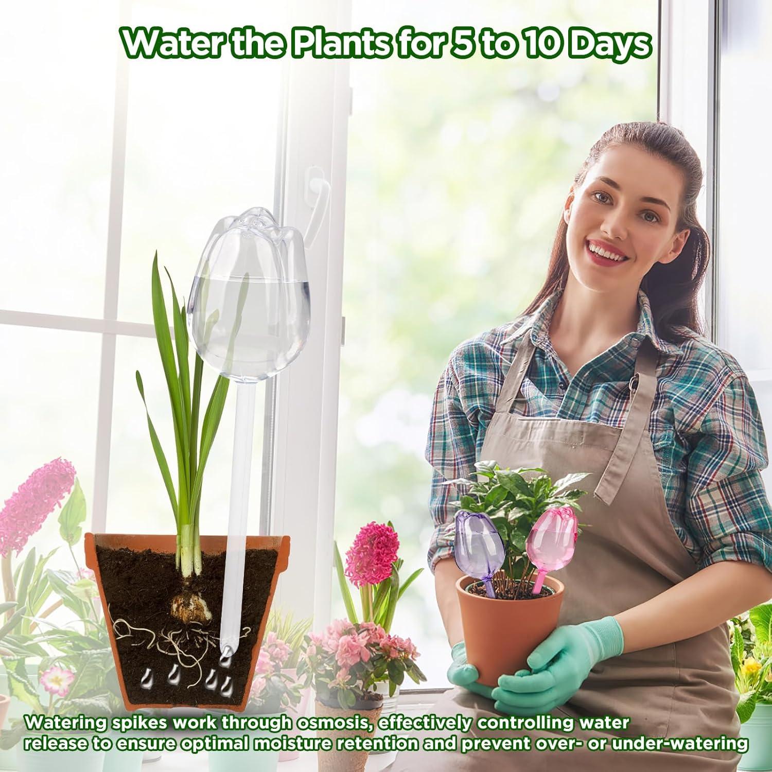 Esferas de Autorriego SAIRFWOO Tulipán 4 Pcs para Plantas