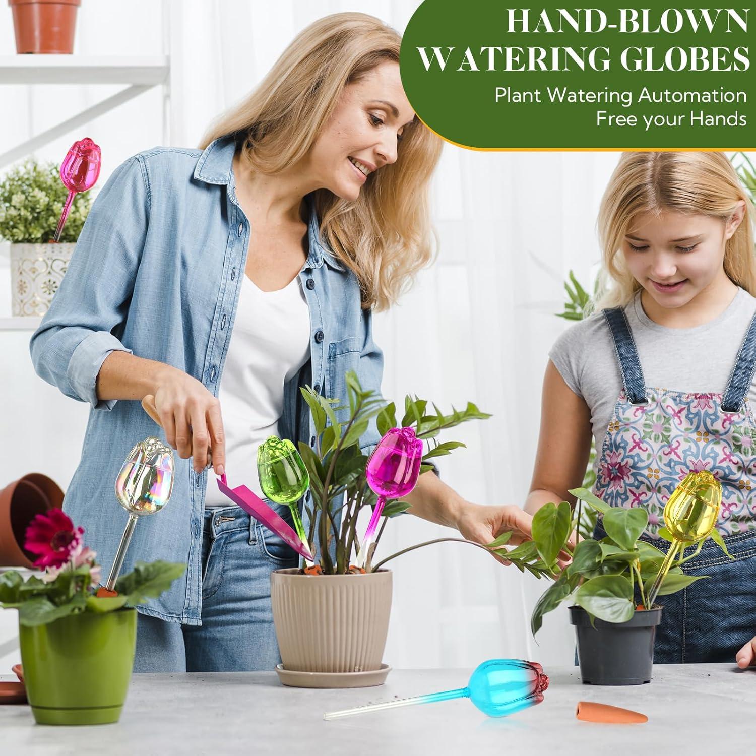 Esferas de Riego Automático 6 Pack - Vidrio para Plantas