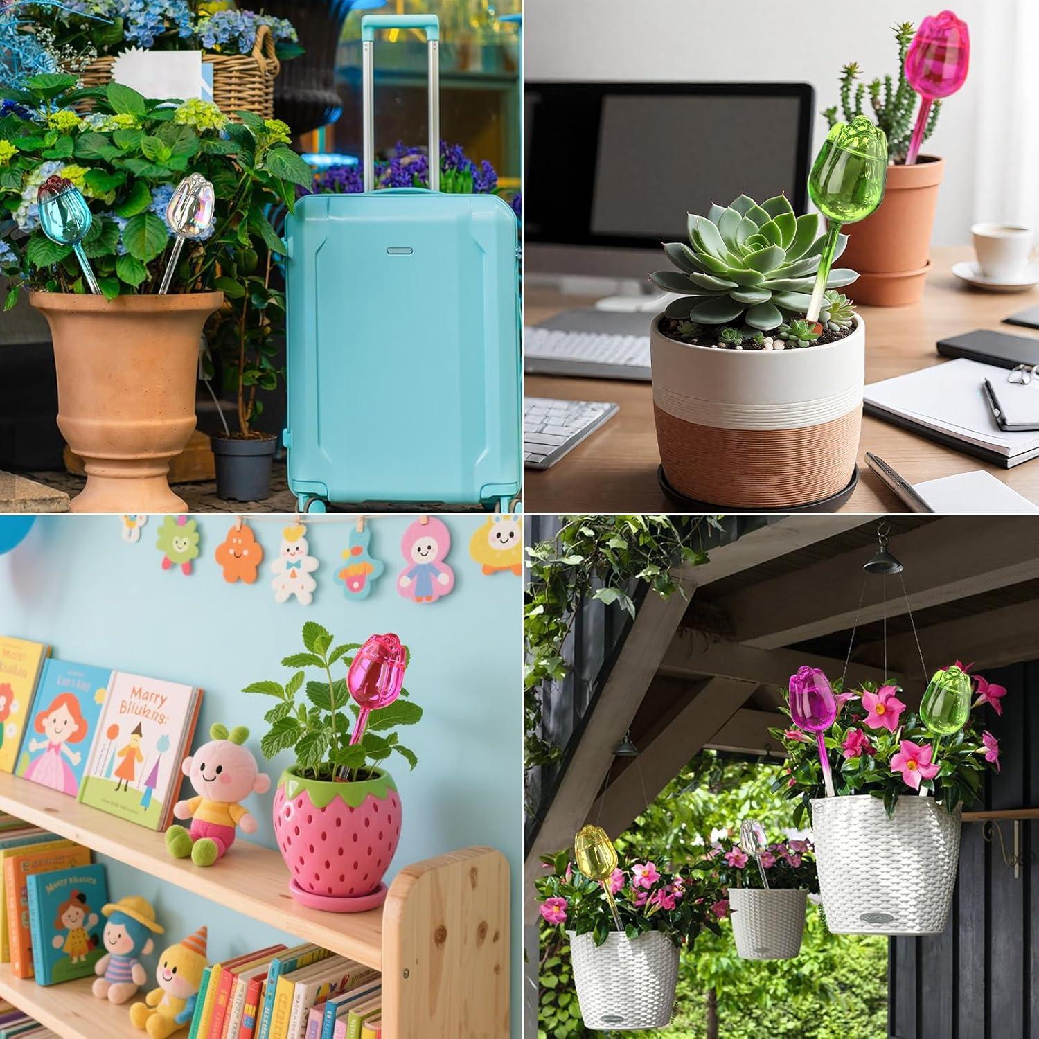 Esferas de Riego Automático 6 Pack - Vidrio para Plantas