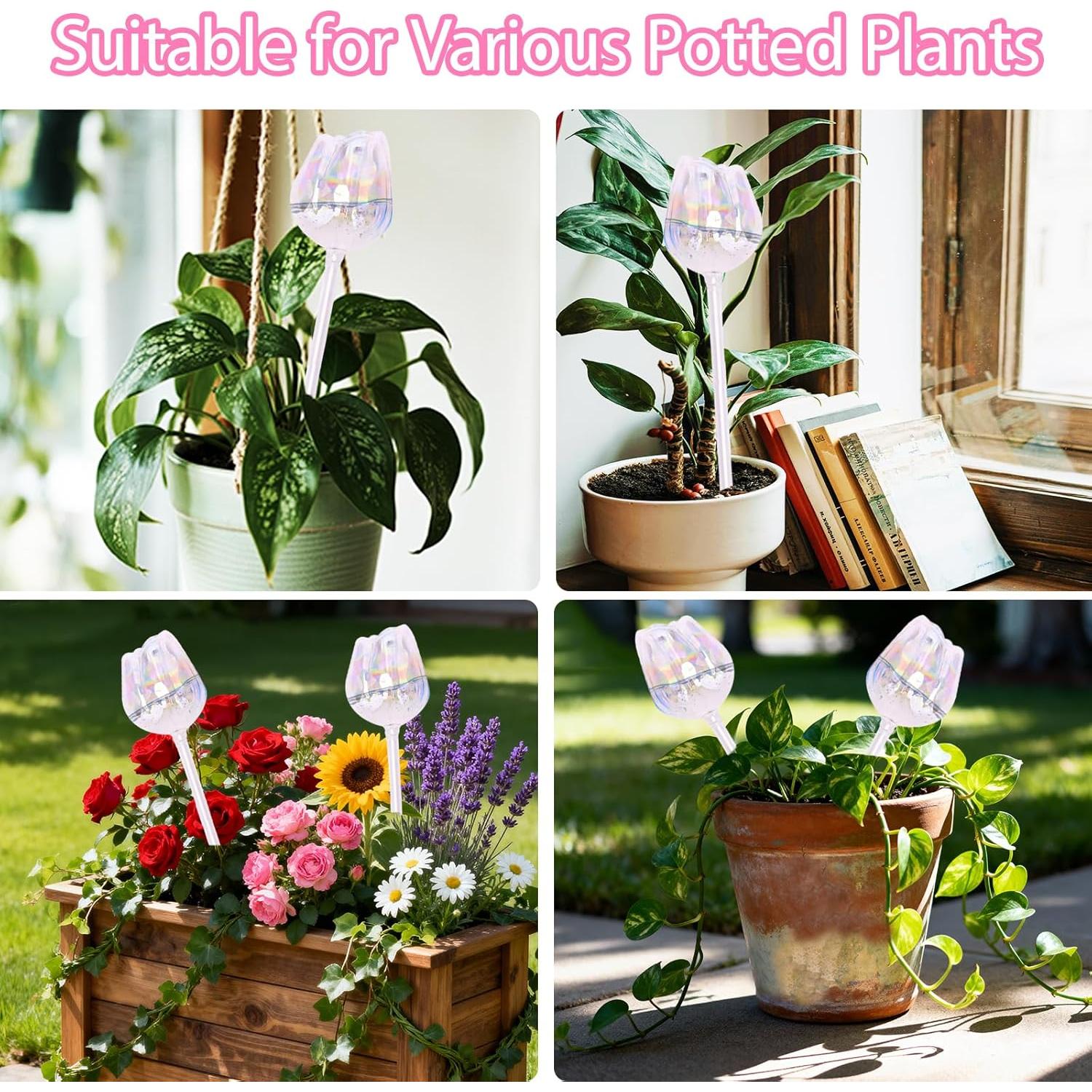 Esferas de Riego Automático Tulip ZenQeek - 4 Pcs Vidrio