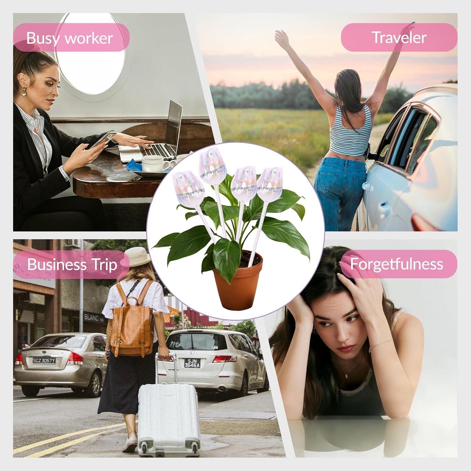 Esferas de Riego Automático Tulip ZenQeek - 4 Pcs Vidrio