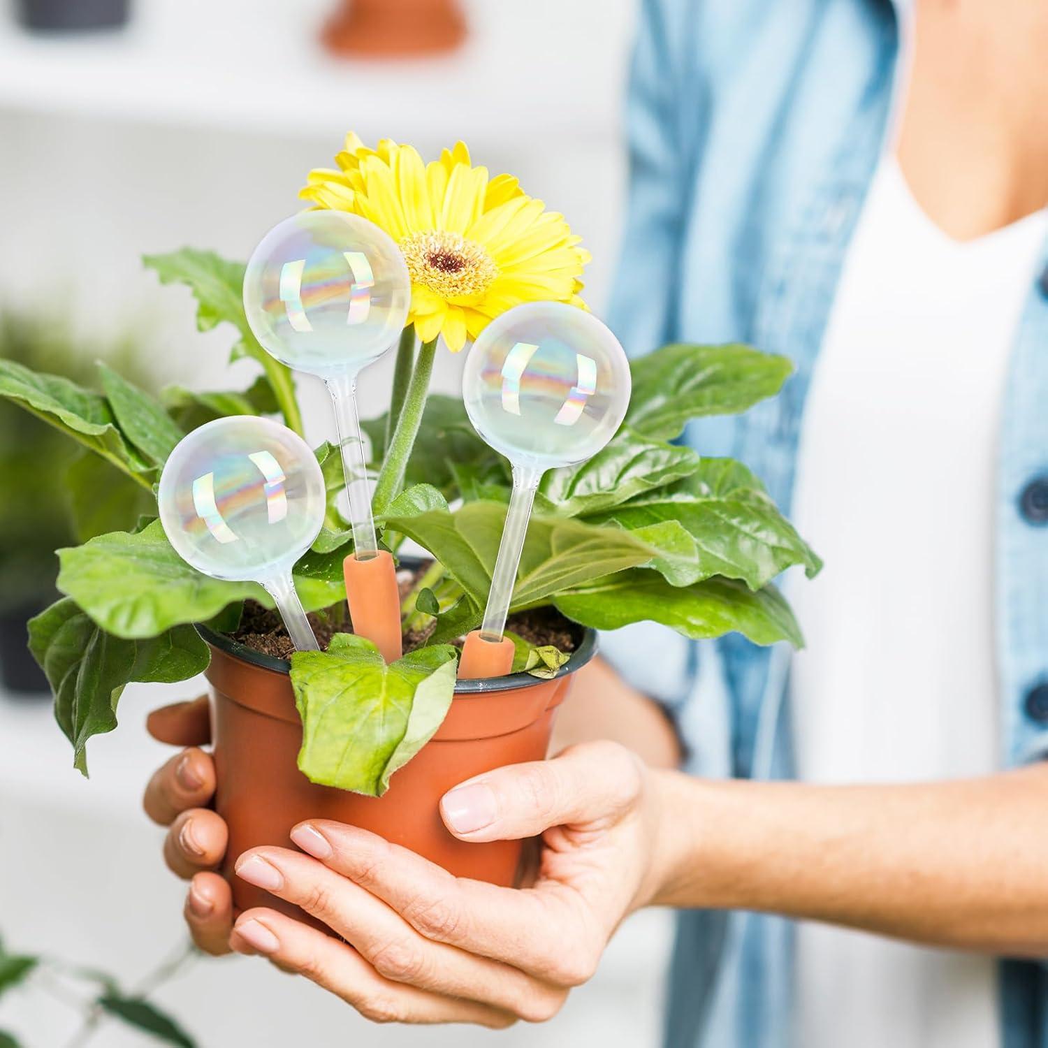 6 Esferas de Riego Automático de Vidrio Iridiscente para Plantas