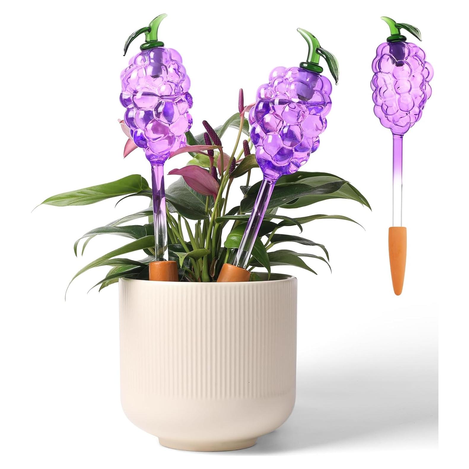 Esferas de Riego Automático Yurucenus 3PCS Vidrio Uva 130ml