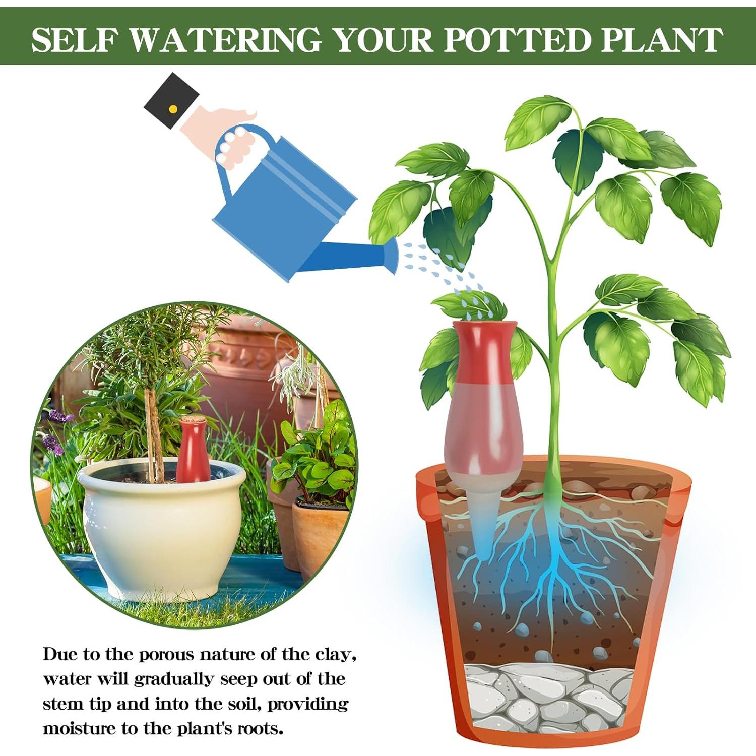 4 Estacas de Riego Automático Srapwati 350ml Arcilla Multicolor