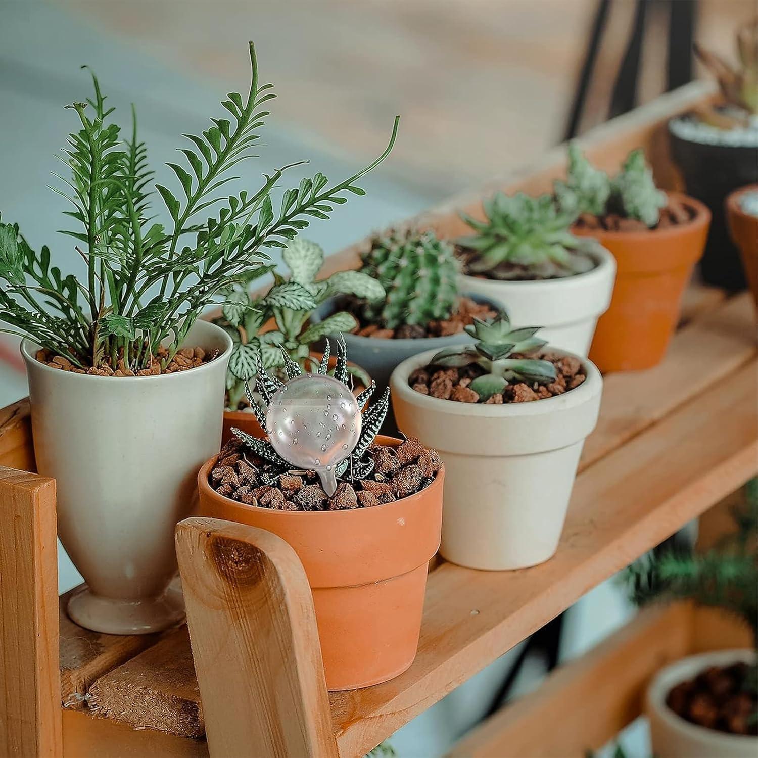 Esferas de Riego AOPANDA 3pcs, Autorriego para Plantas 250ml