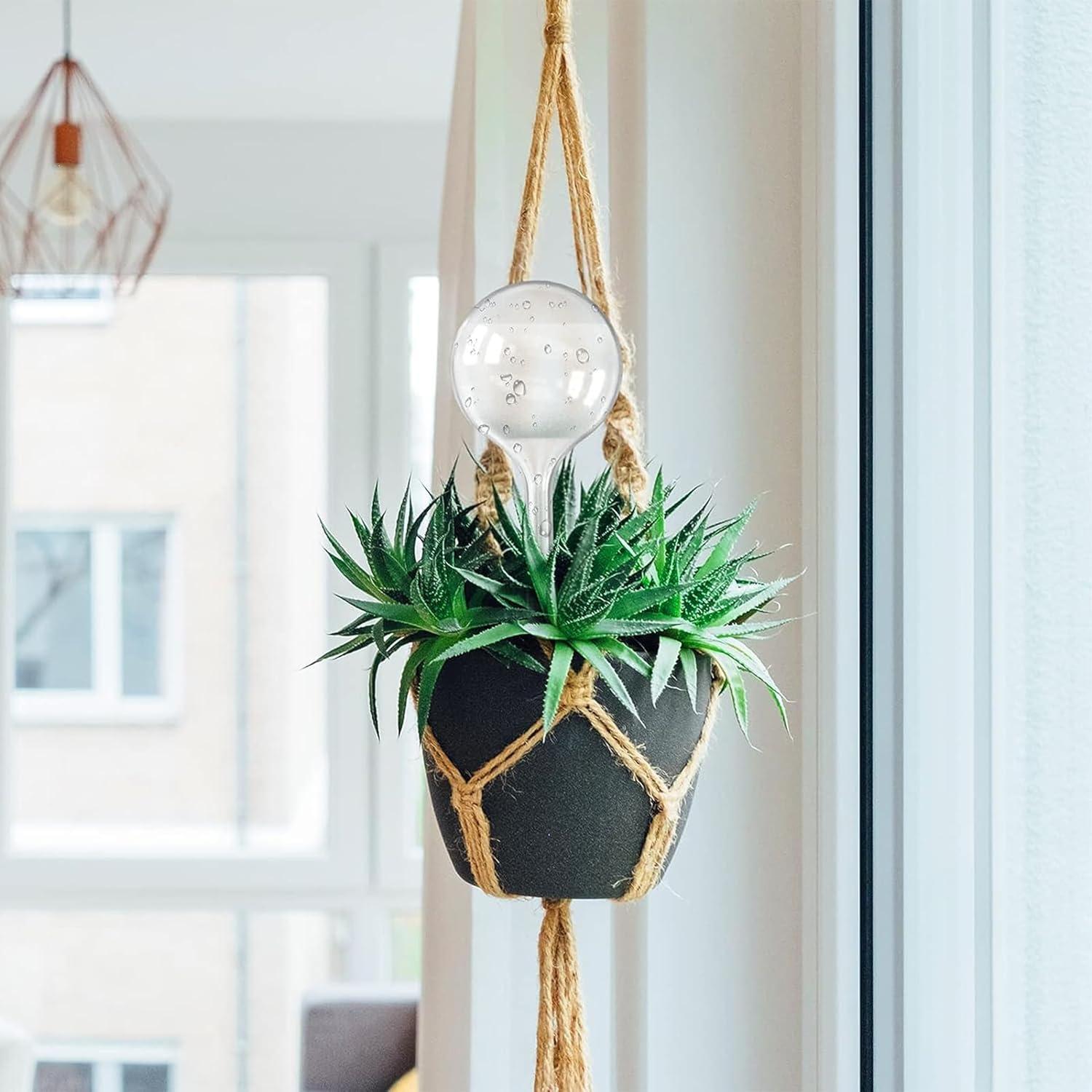 Esferas de Riego AOPANDA 3pcs, Autorriego para Plantas 250ml