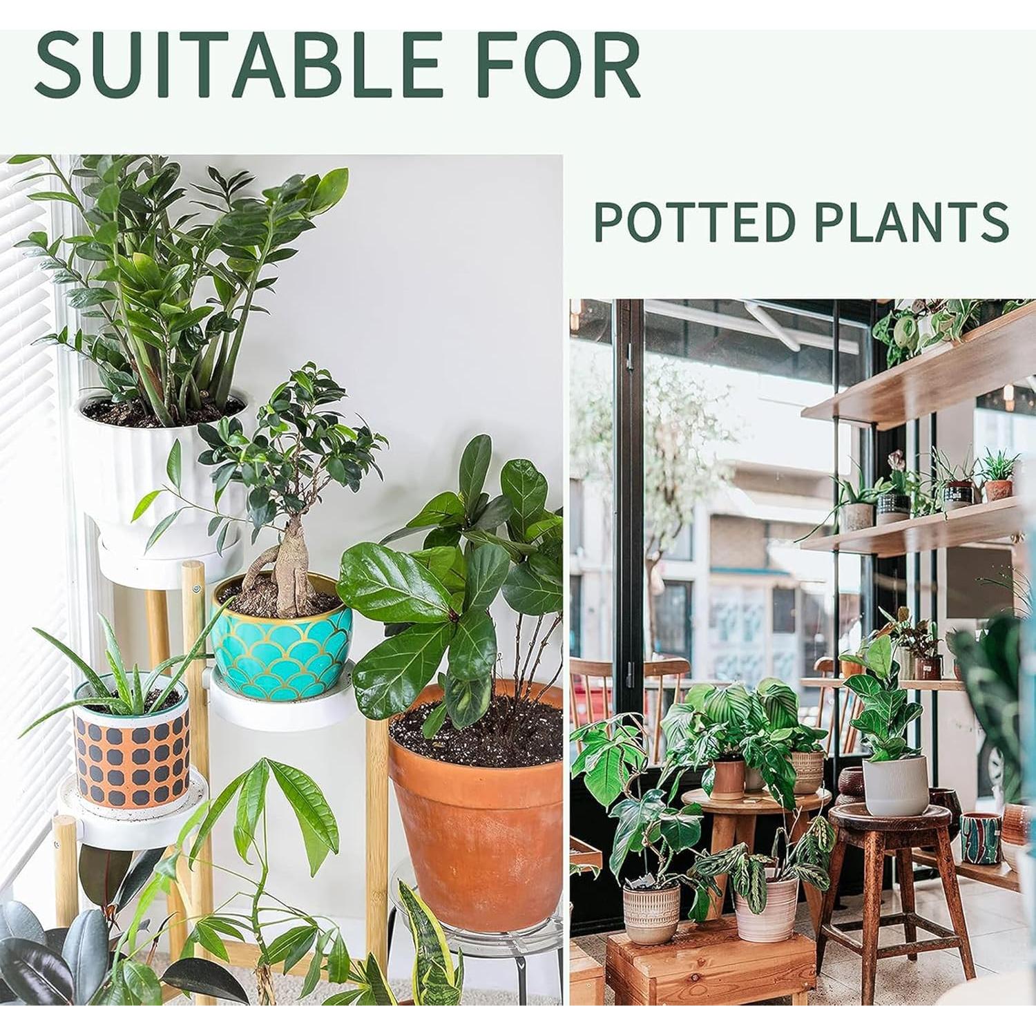 Esferas de Riego AOPANDA 3pcs, Autorriego para Plantas 250ml