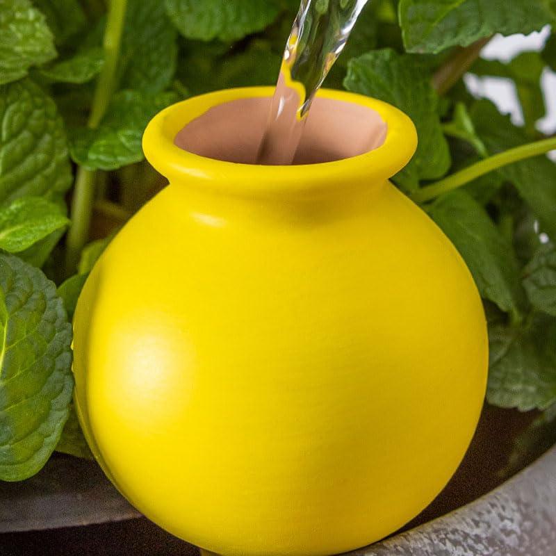 Esferas de Riego Automáticas Ximimark 4 Paquetes Terracota