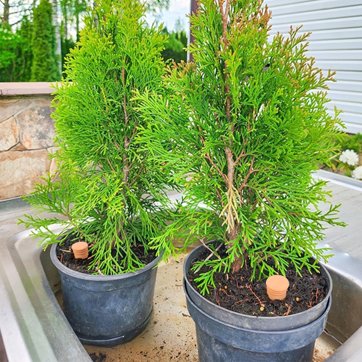 2 Globos de Riego Automático Lovely Ran 1.8L Cerámica Roja