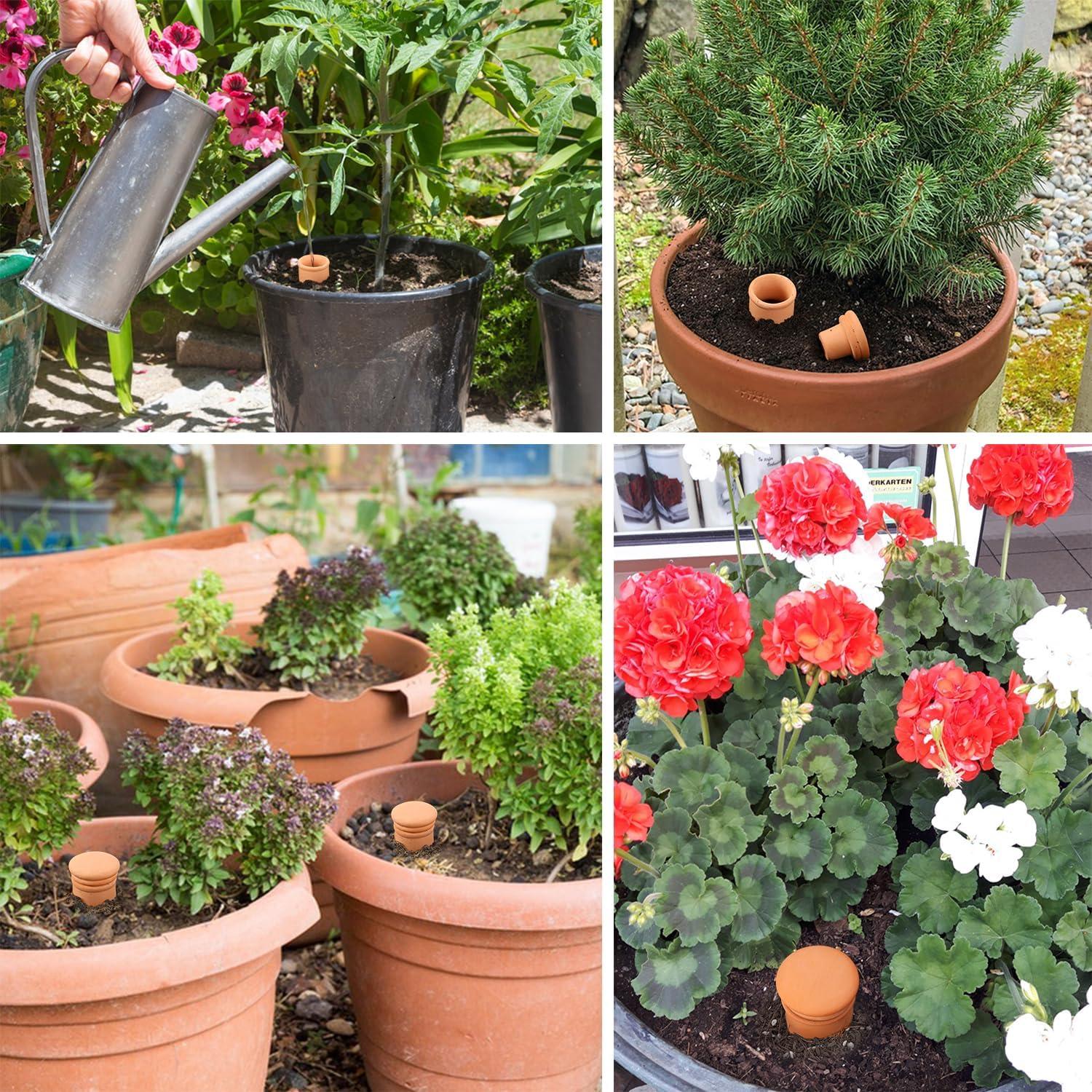 2 Globos de Riego Automático Lovely Ran 1.8L Cerámica Roja