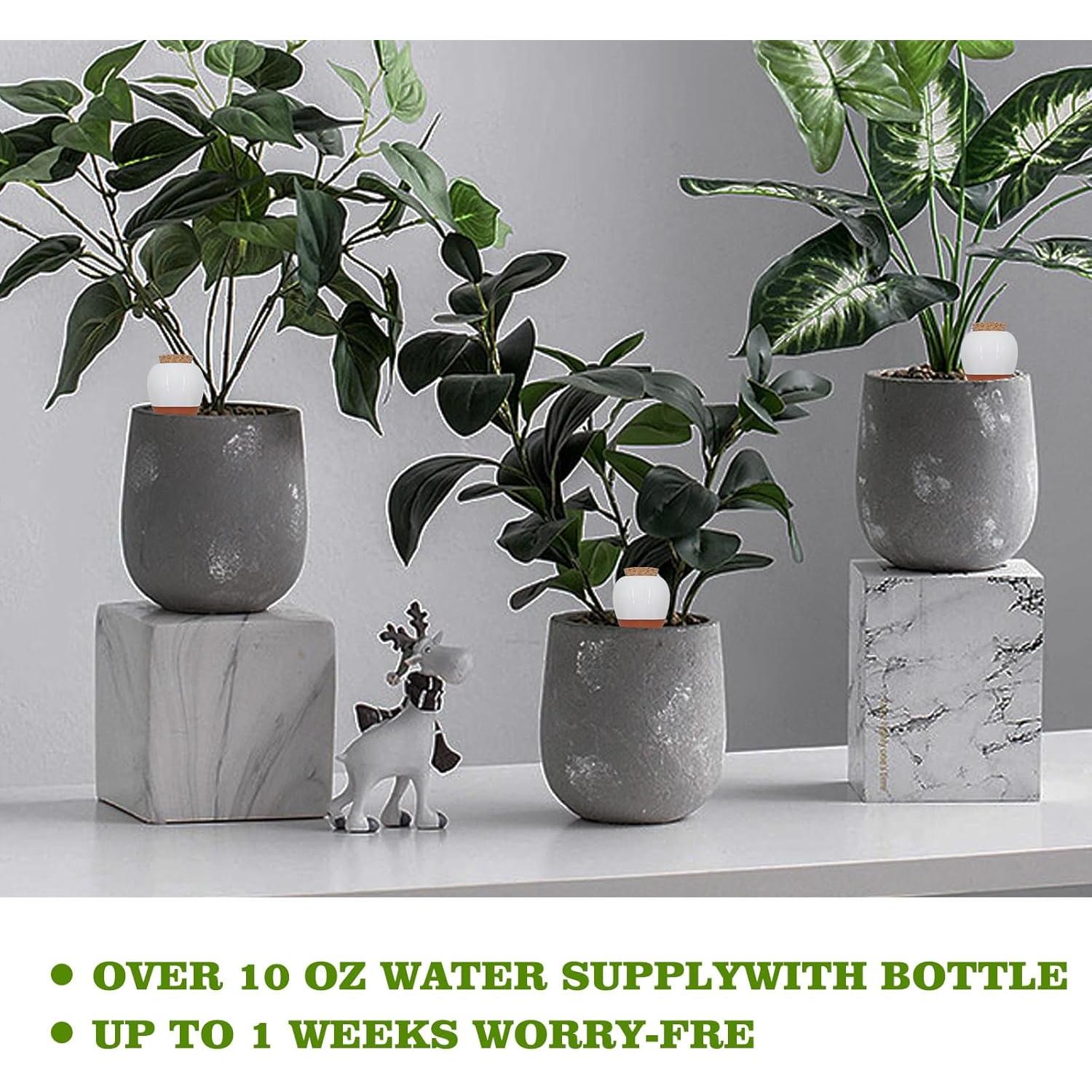 Esferas de Riego Automático Terracota OZLMC 4 Pack 0.3L