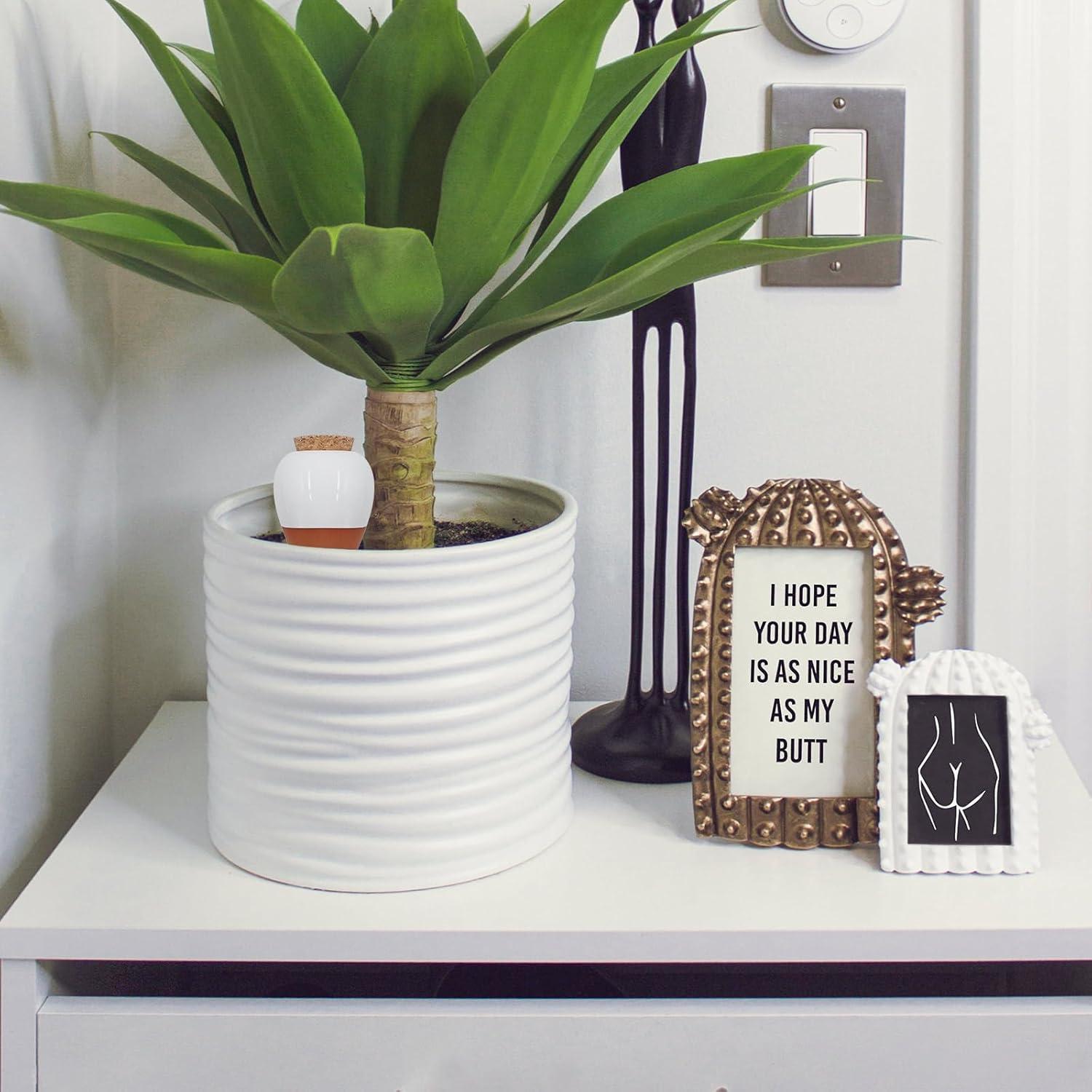 Esferas de Riego Automático Terracota OZLMC 4 Pack 0.3L