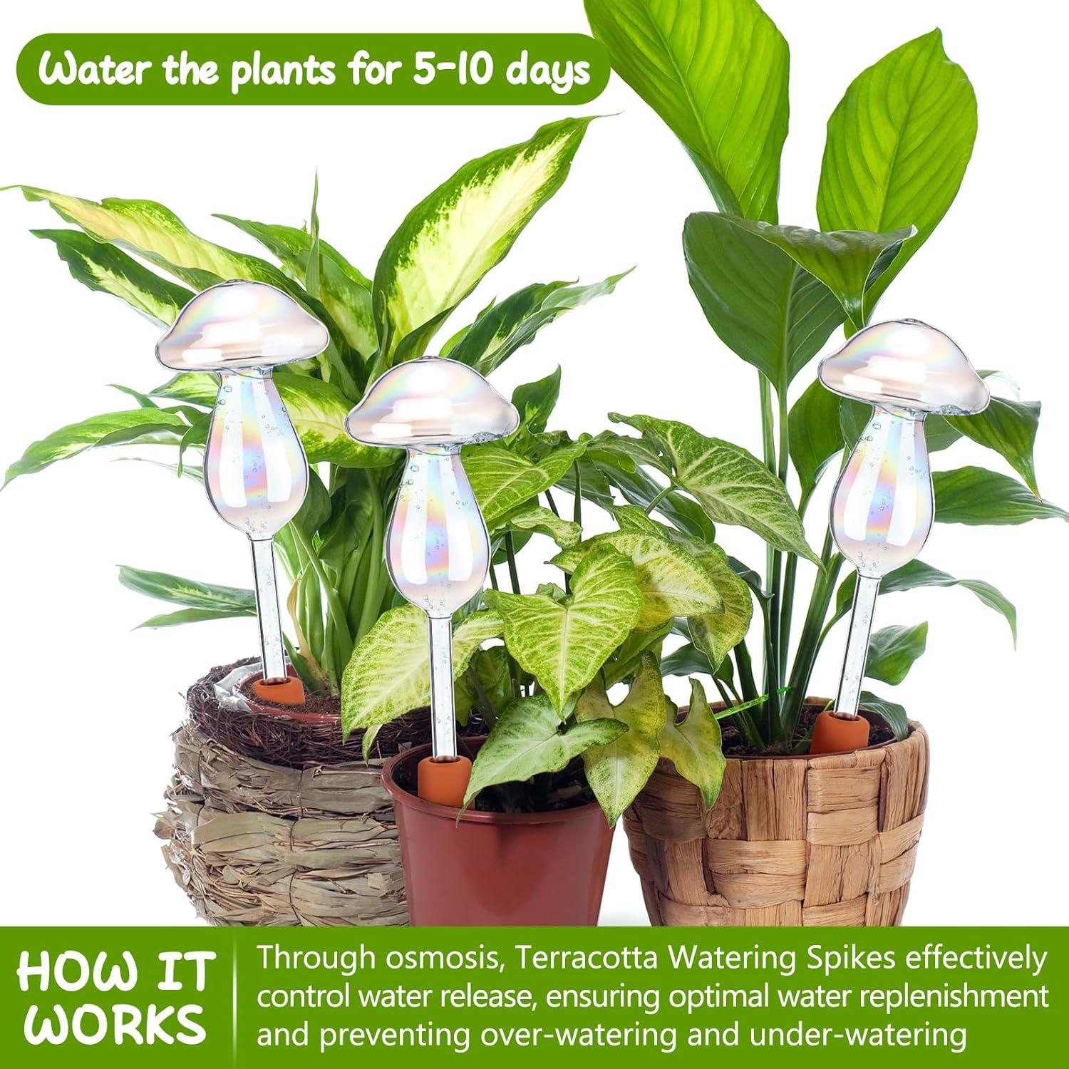 Esferas de Riego Automáticas Zhehao 6 Pcs Vidrio Lásers