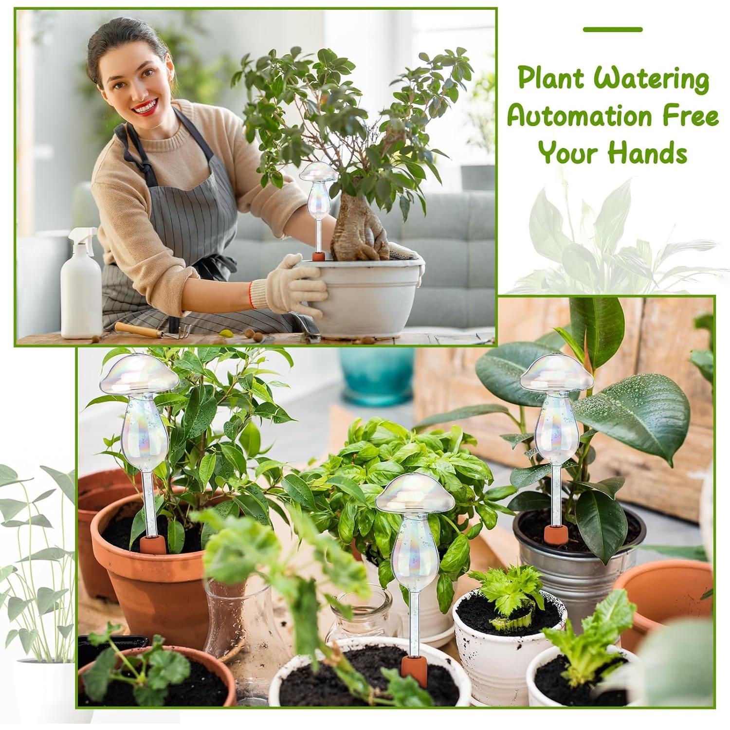 Esferas de Riego Automáticas Zhehao 6 Pcs Vidrio Lásers