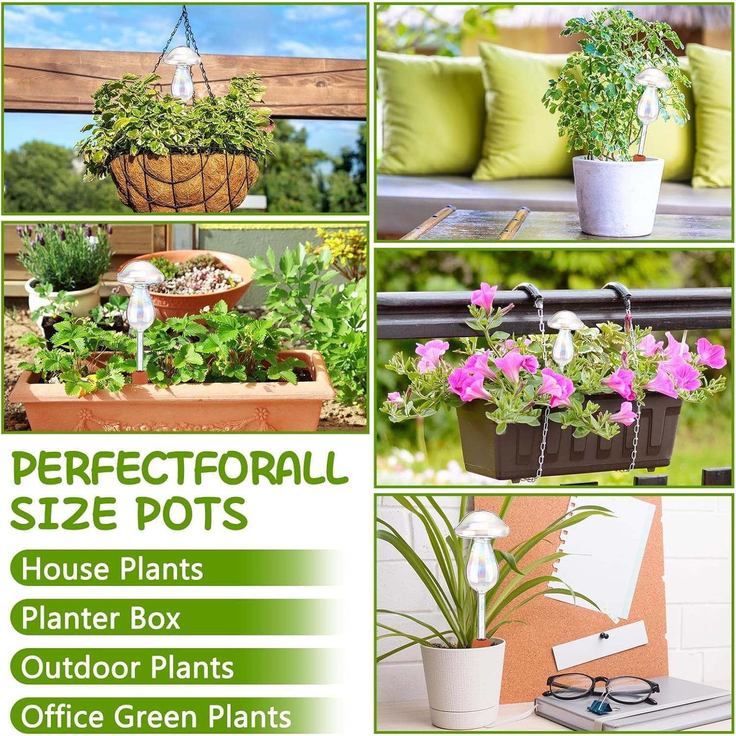 Esferas de Riego Automáticas Zhehao 6 Pcs Vidrio Lásers