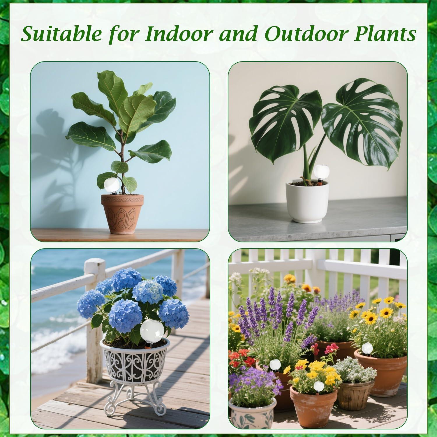 2 Esferas de Riego Automáticas 500ml Plástico Yuixoseu