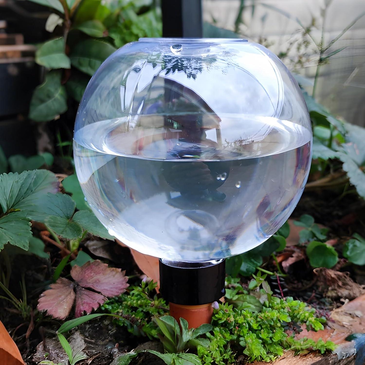 Esferas Autorriego Homaisson 5 Piezas 500ML Cerámica