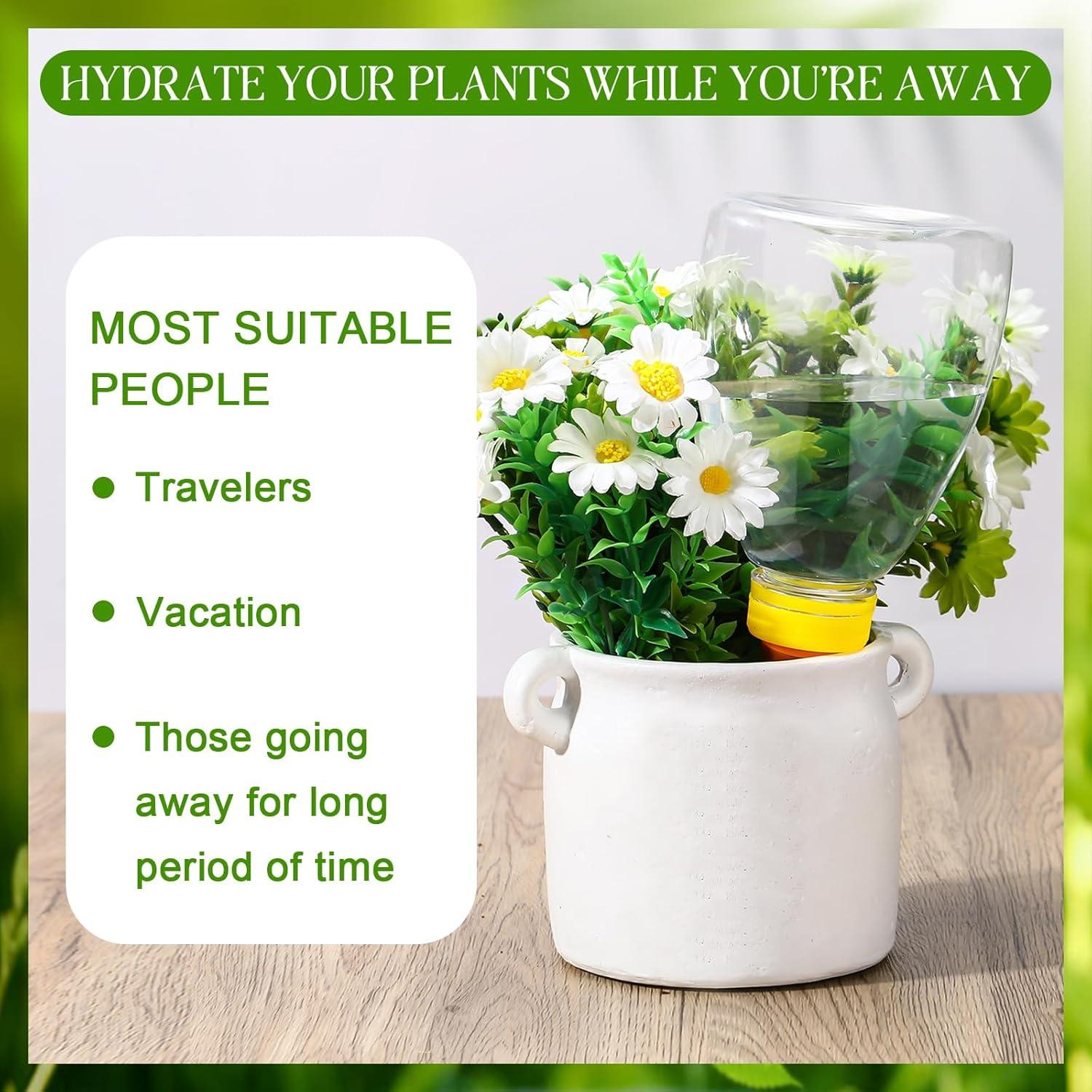 2 Esferas de Autorriego Threlaco 500 ml para Plantas