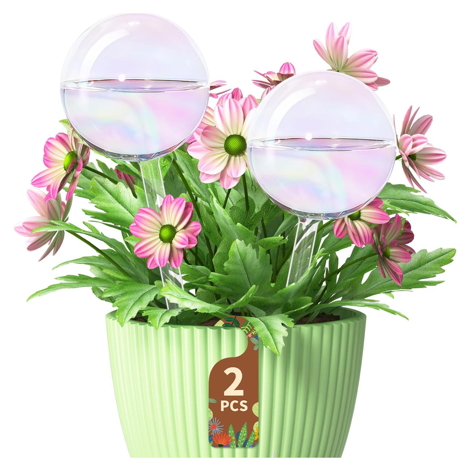 Globos de Riego de Vidrio LASZOLA 2 Pcs para Plantas