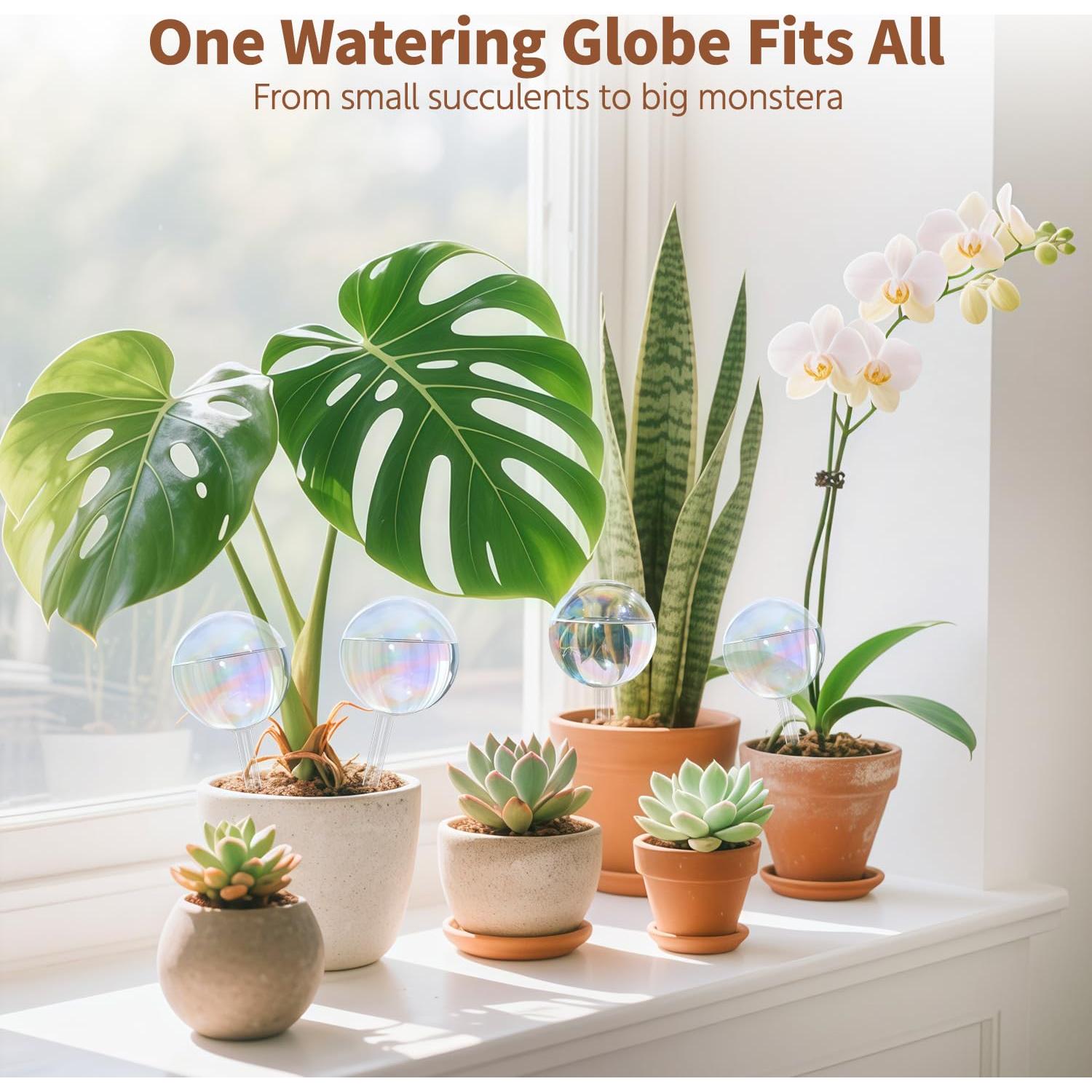 Globos de Riego de Vidrio LASZOLA 2 Pcs para Plantas