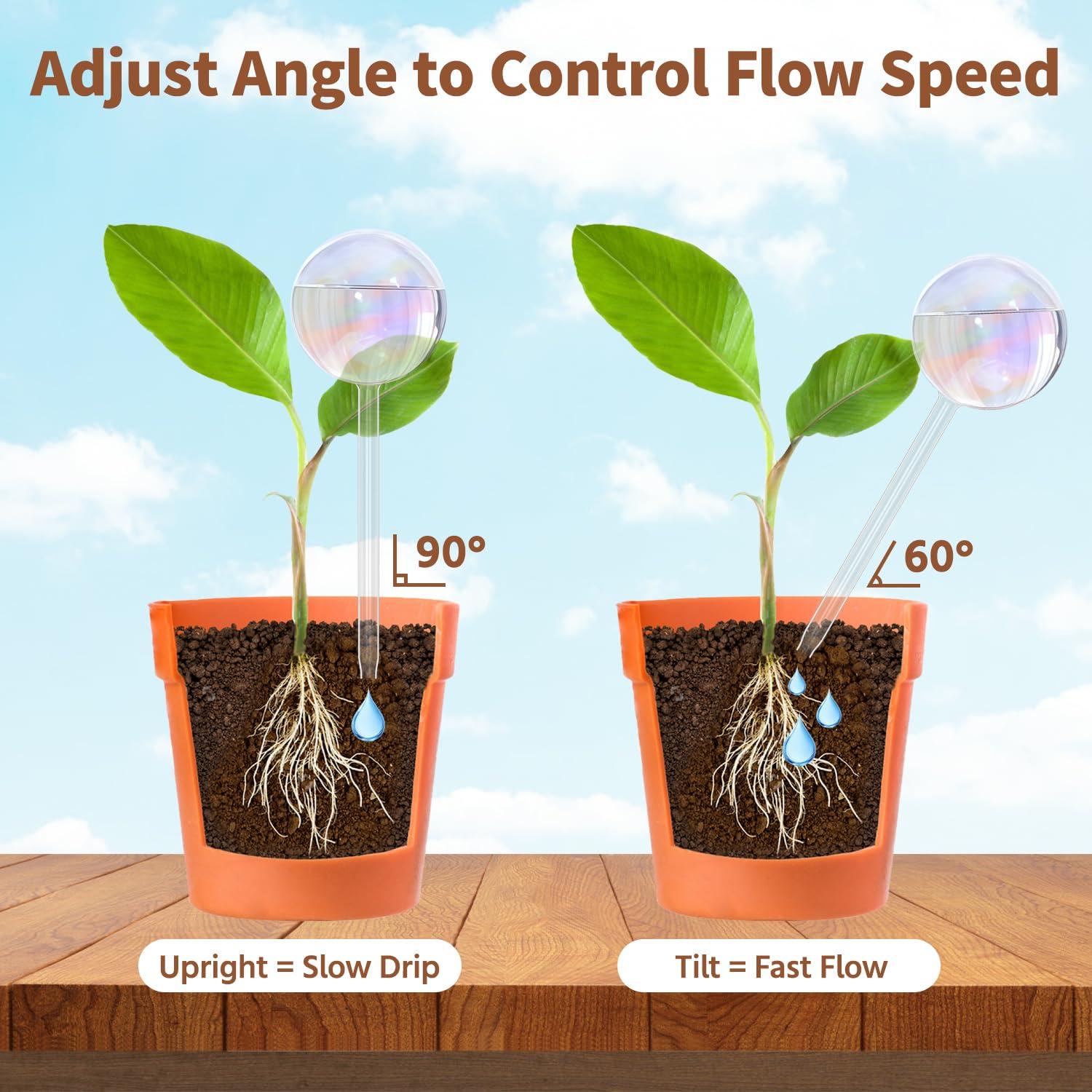 Globos de Riego de Vidrio LASZOLA 2 Pcs para Plantas