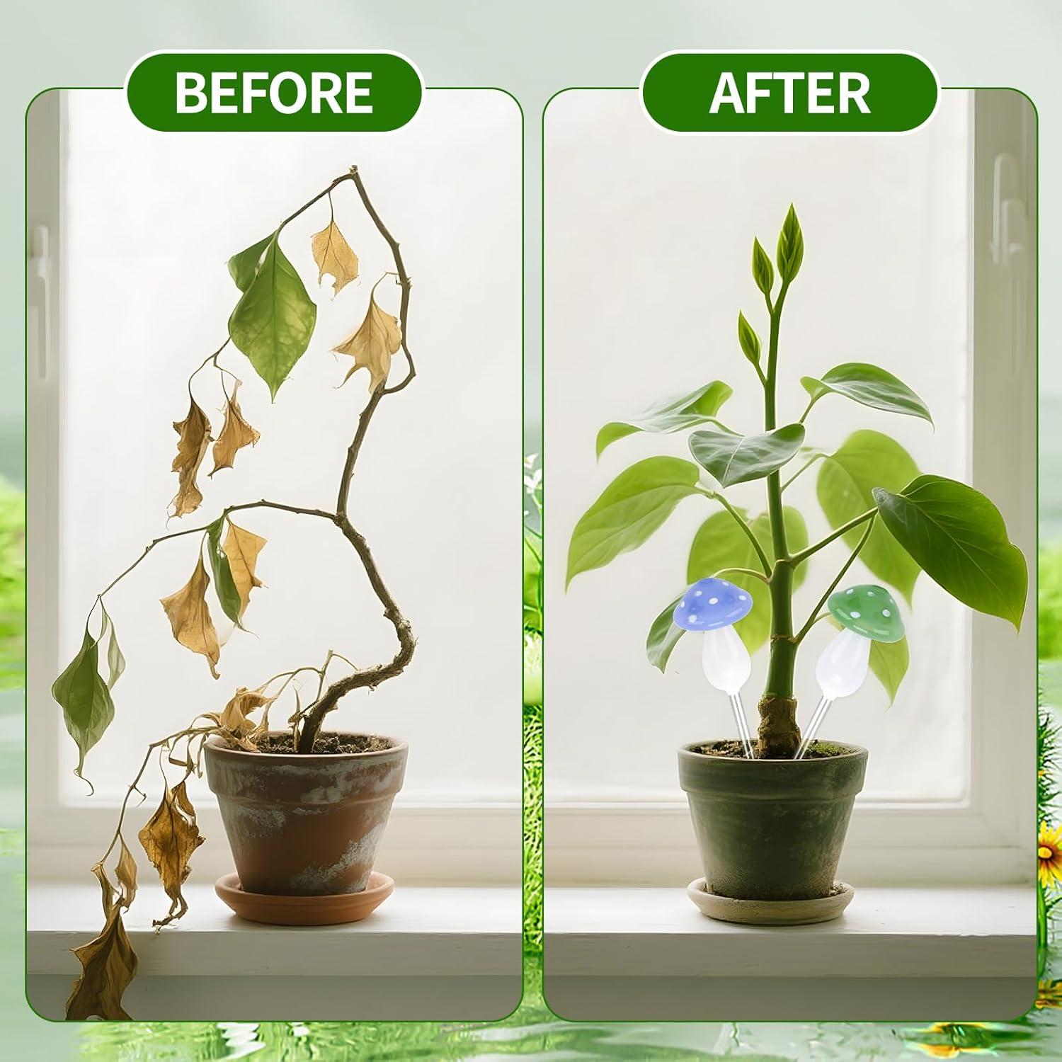 Esferas de Riego Automático de Vidrio Borosilicato - 4 Piezas