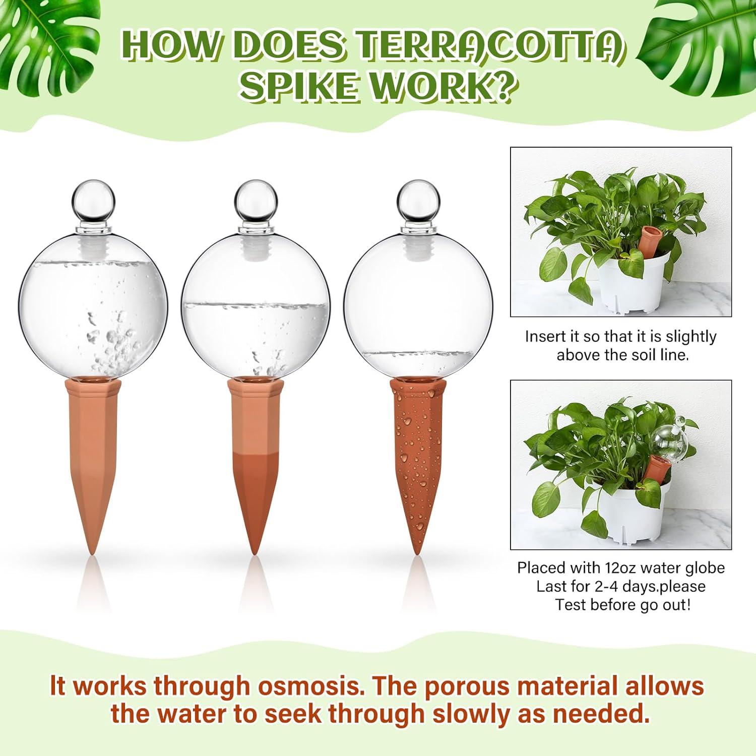 3 Esferas de Riego de Vidrio y Picos de Terracota para Plantas