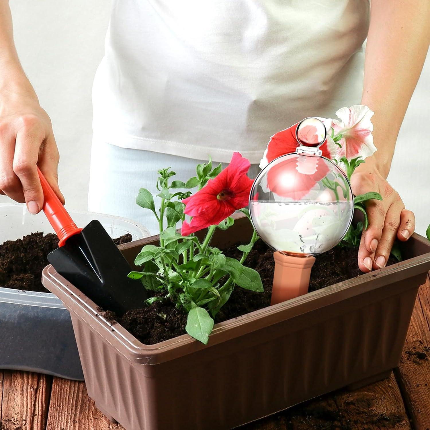 3 Esferas de Riego de Vidrio y Picos de Terracota para Plantas