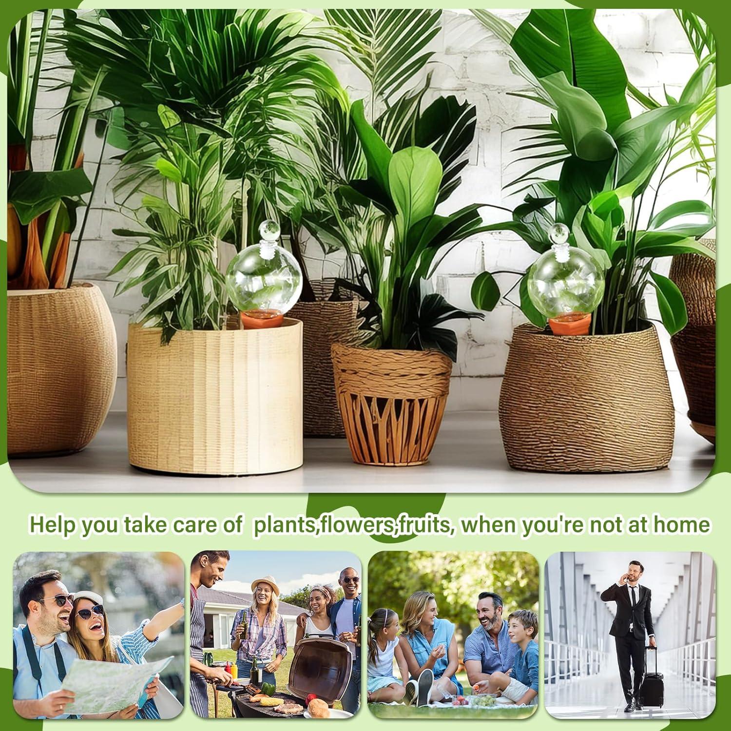 3 Esferas de Riego de Vidrio y Picos de Terracota para Plantas