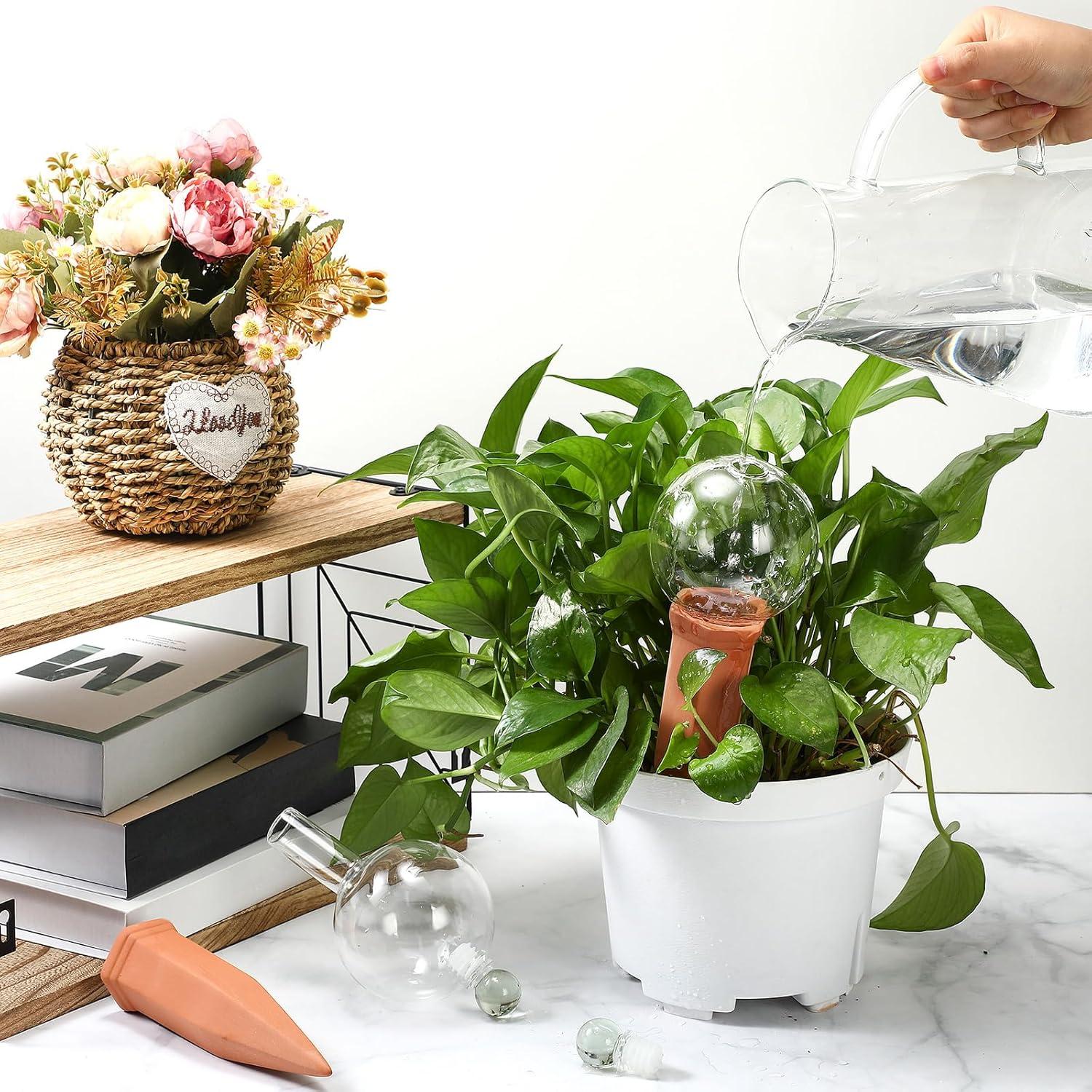 3 Esferas de Riego de Vidrio y Picos de Terracota para Plantas