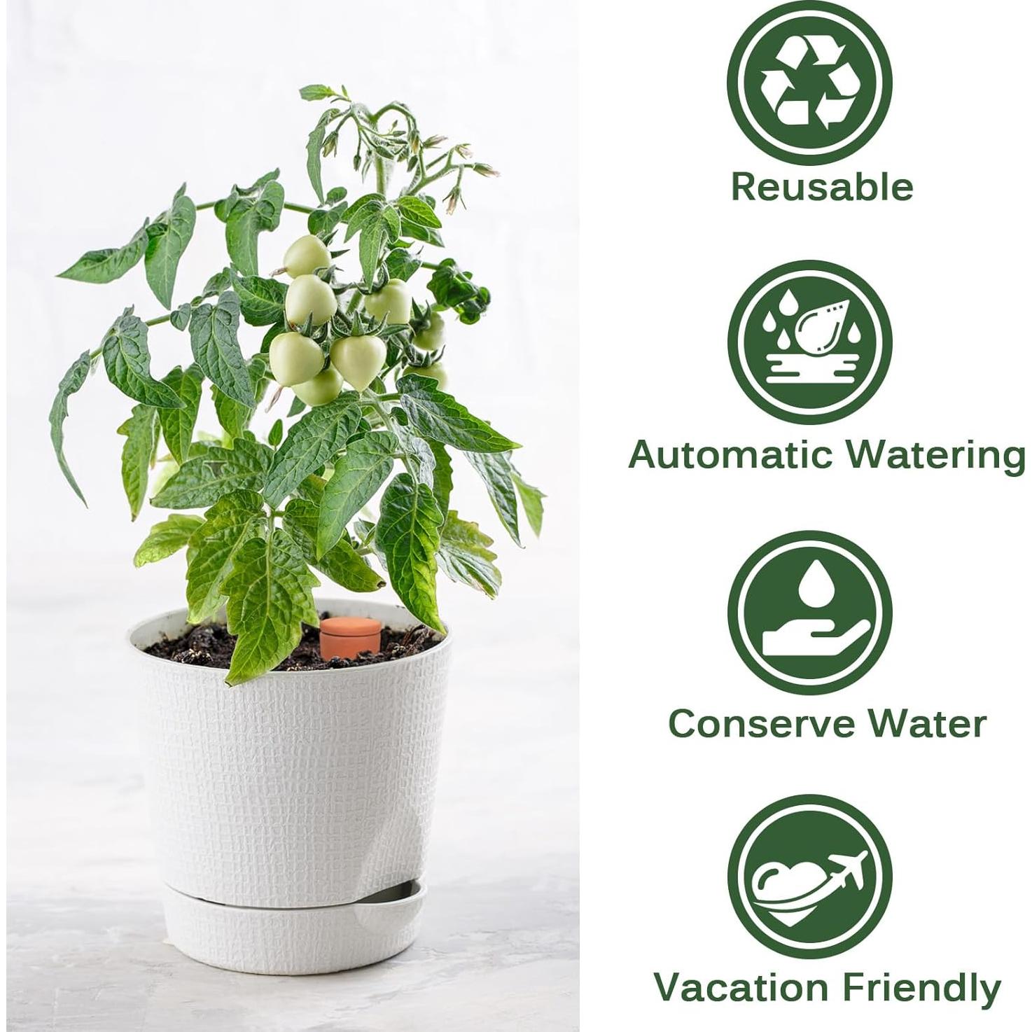 Ollas de Riego de Terracota Boller, 2 PCS, 0.44 L para Plantas