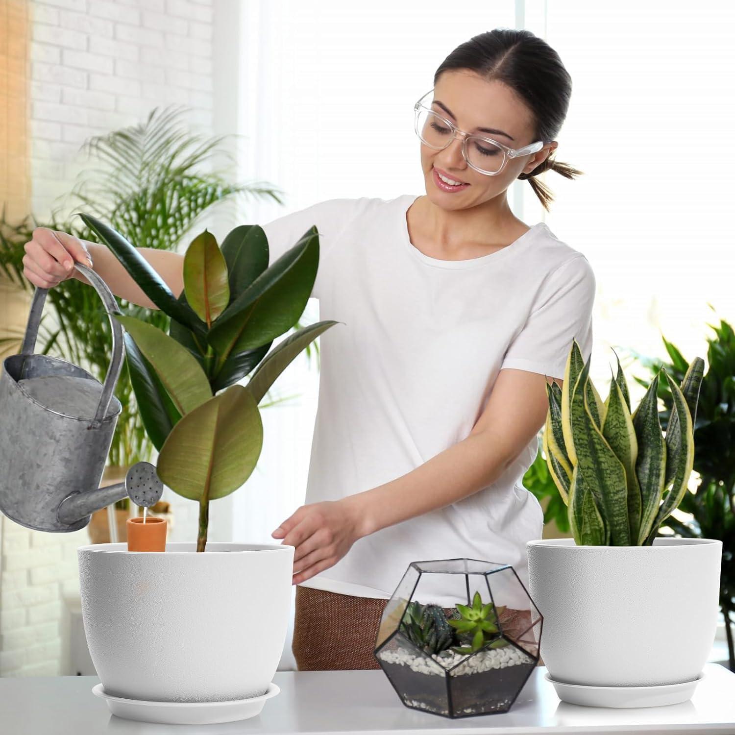 Ollas de Riego de Terracota Boller, 2 PCS, 0.44 L para Plantas