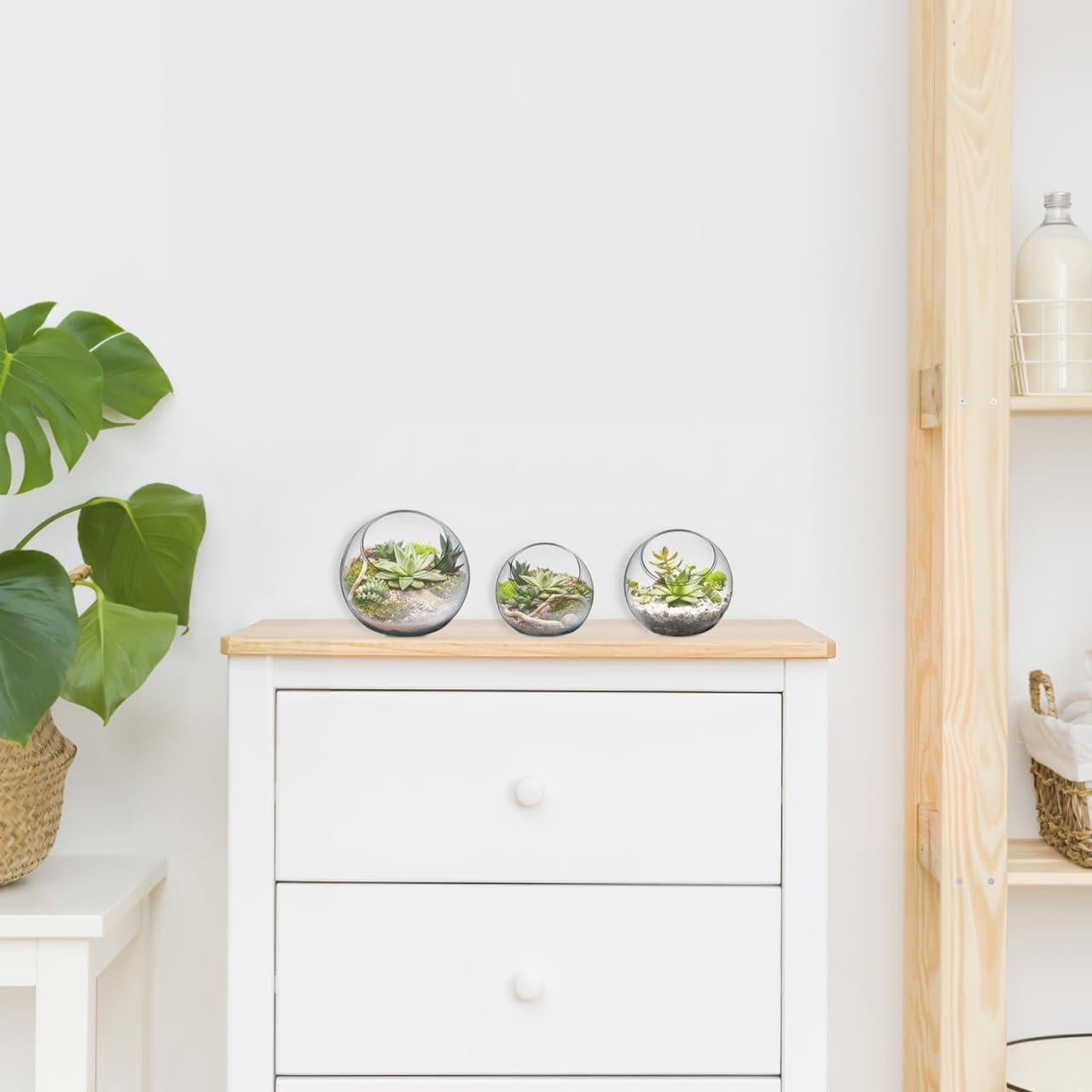 Esferas de Riego Angoily para Plantas - 3 Pcs Vidrio 8-12 cm