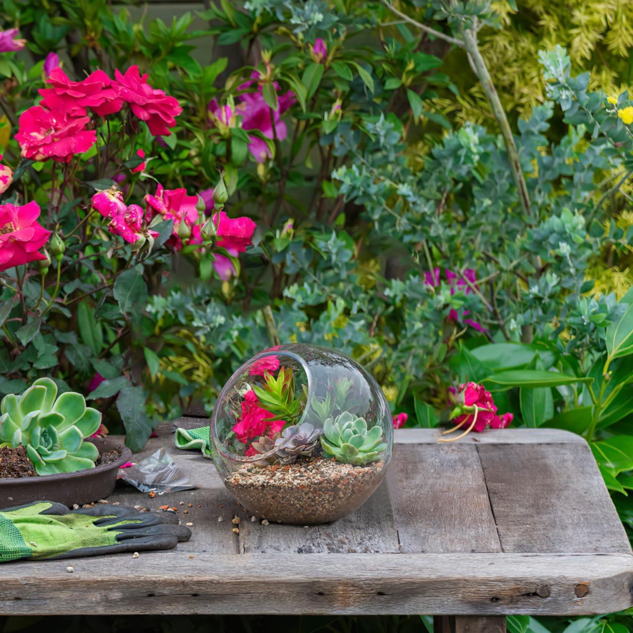 Esferas de Riego Angoily para Plantas - 3 Pcs Vidrio 8-12 cm