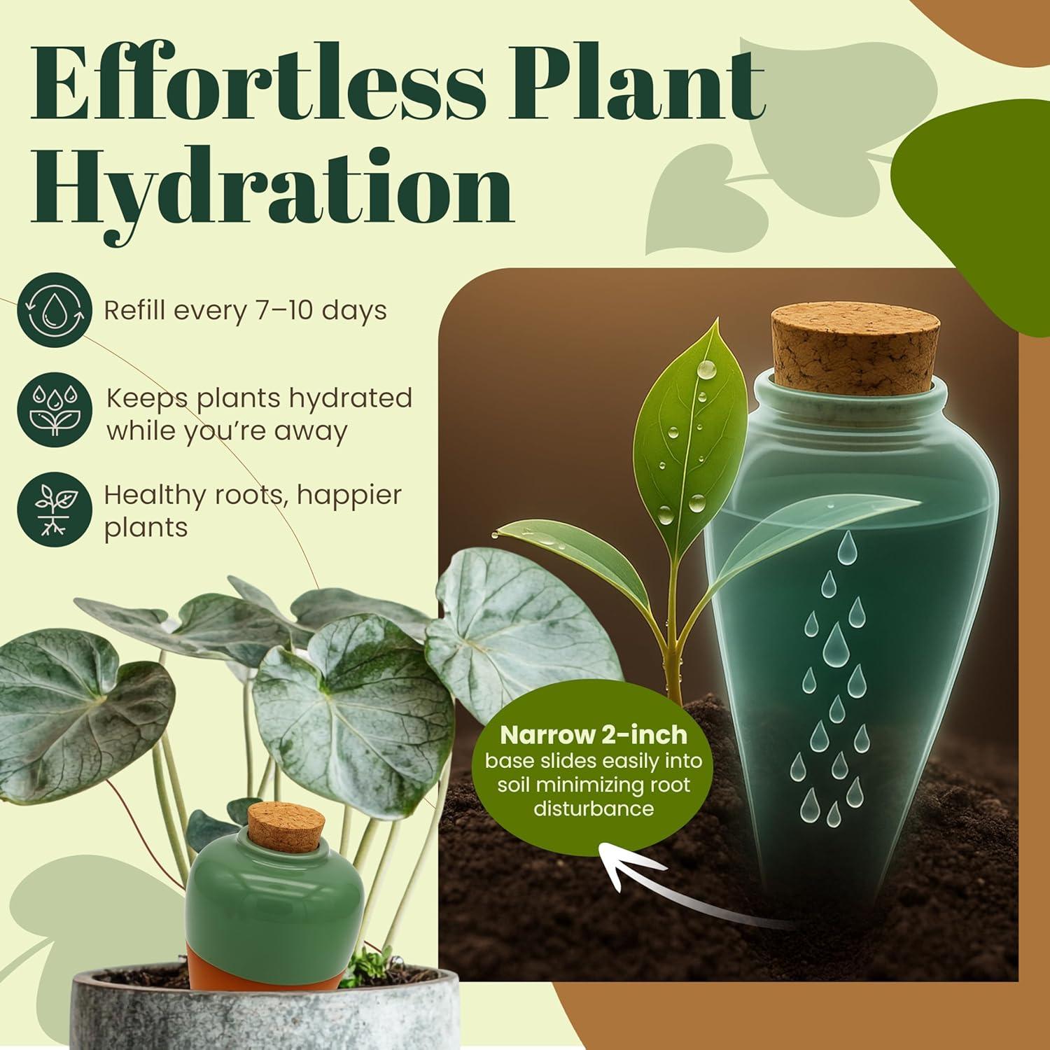 Insertos de Maceta de Terracota Autorriego Cozy Chrysalis - Juego de 4