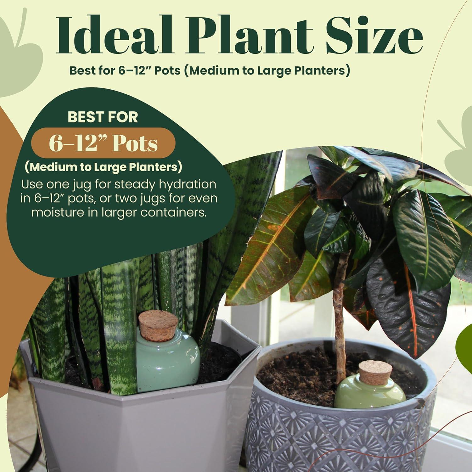 Insertos de Maceta de Terracota Autorriego Cozy Chrysalis - Juego de 4