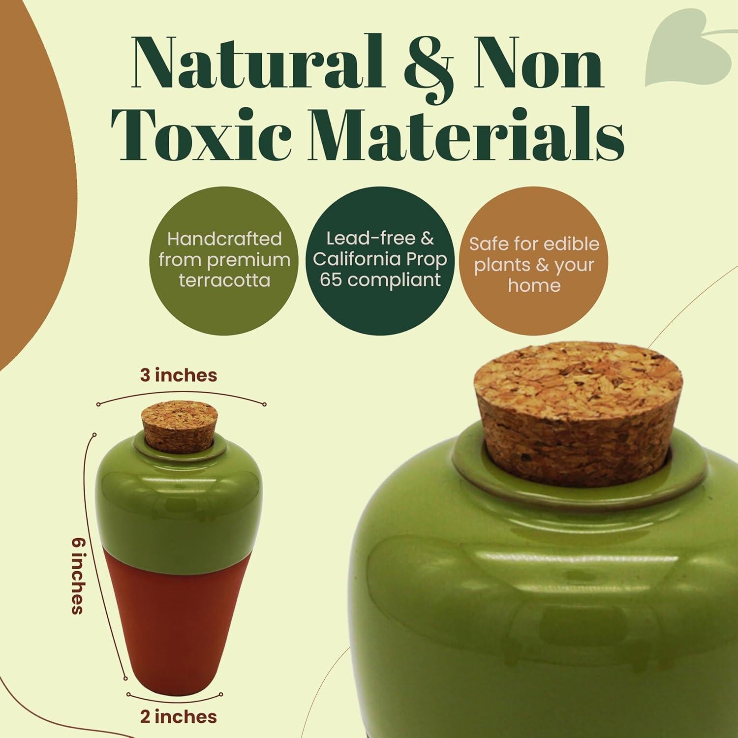 Insertos de Maceta de Terracota Autorriego Cozy Chrysalis - Juego de 4