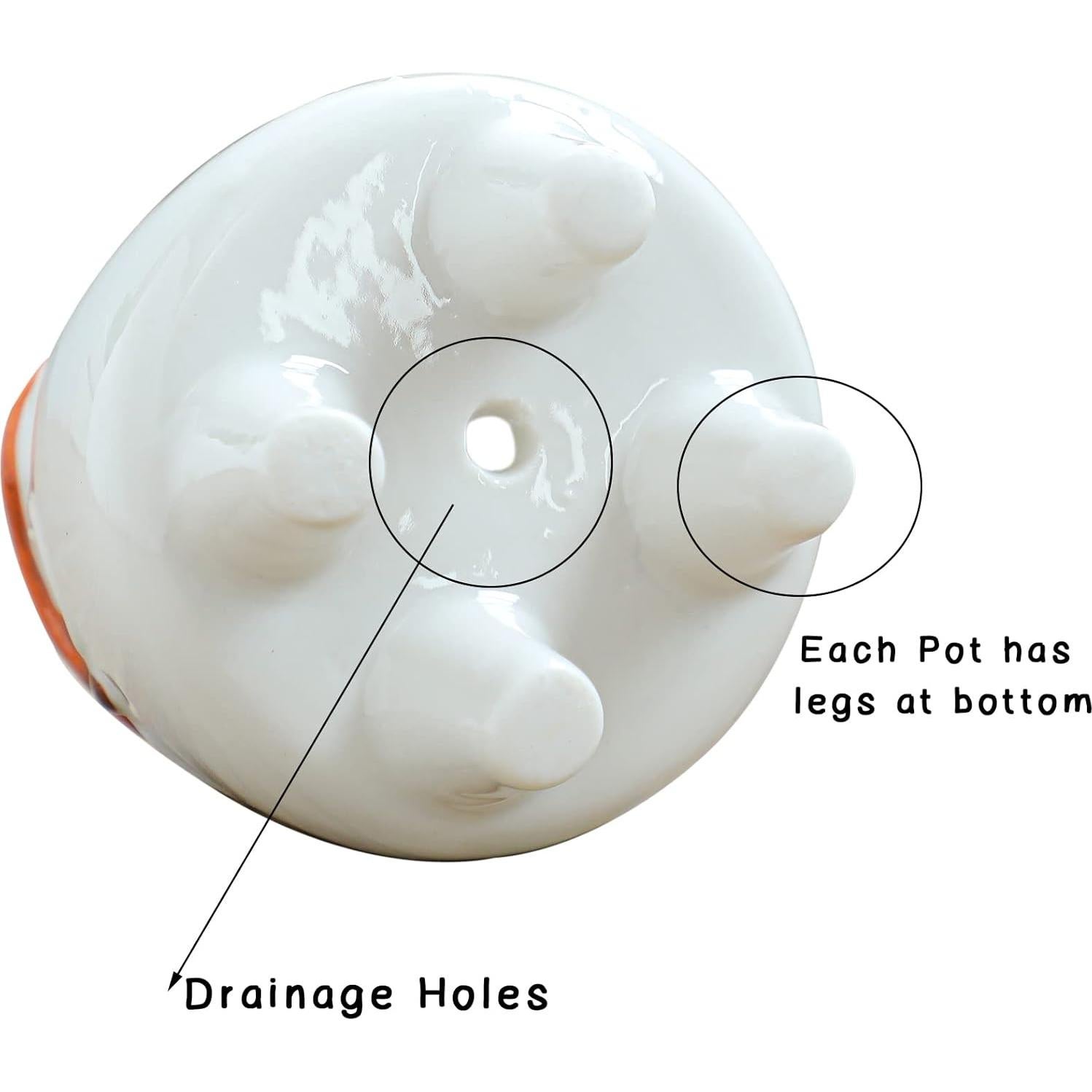 Macetas Suculentas Cerámica ARTKETTY 8 Pcs con Drenaje