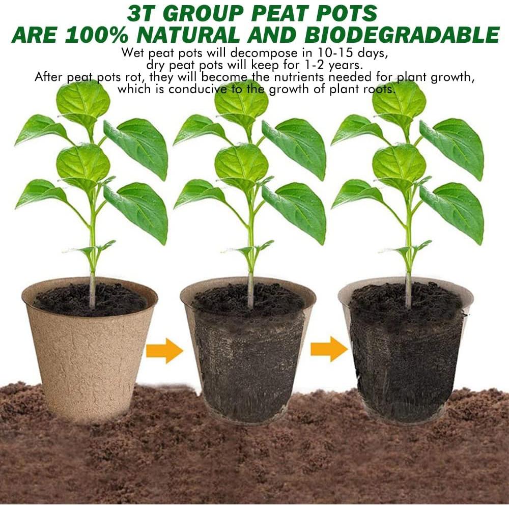 Macetas Pequeñas Compostables 3T GROUP 50 Pcs 7.6 cm