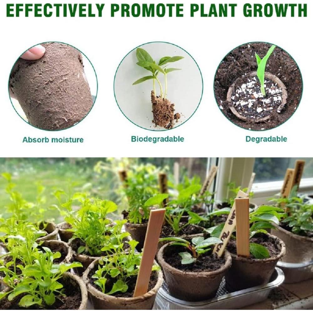 Macetas Pequeñas Compostables 3T GROUP 50 Pcs 7.6 cm